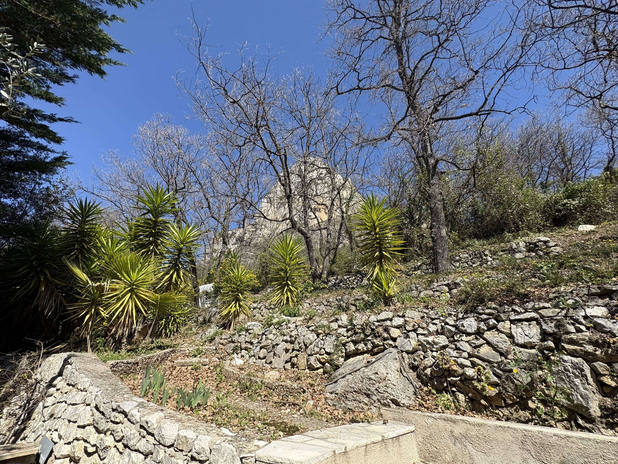 Image_, Villa, Saint-Jeannet, ref :1903