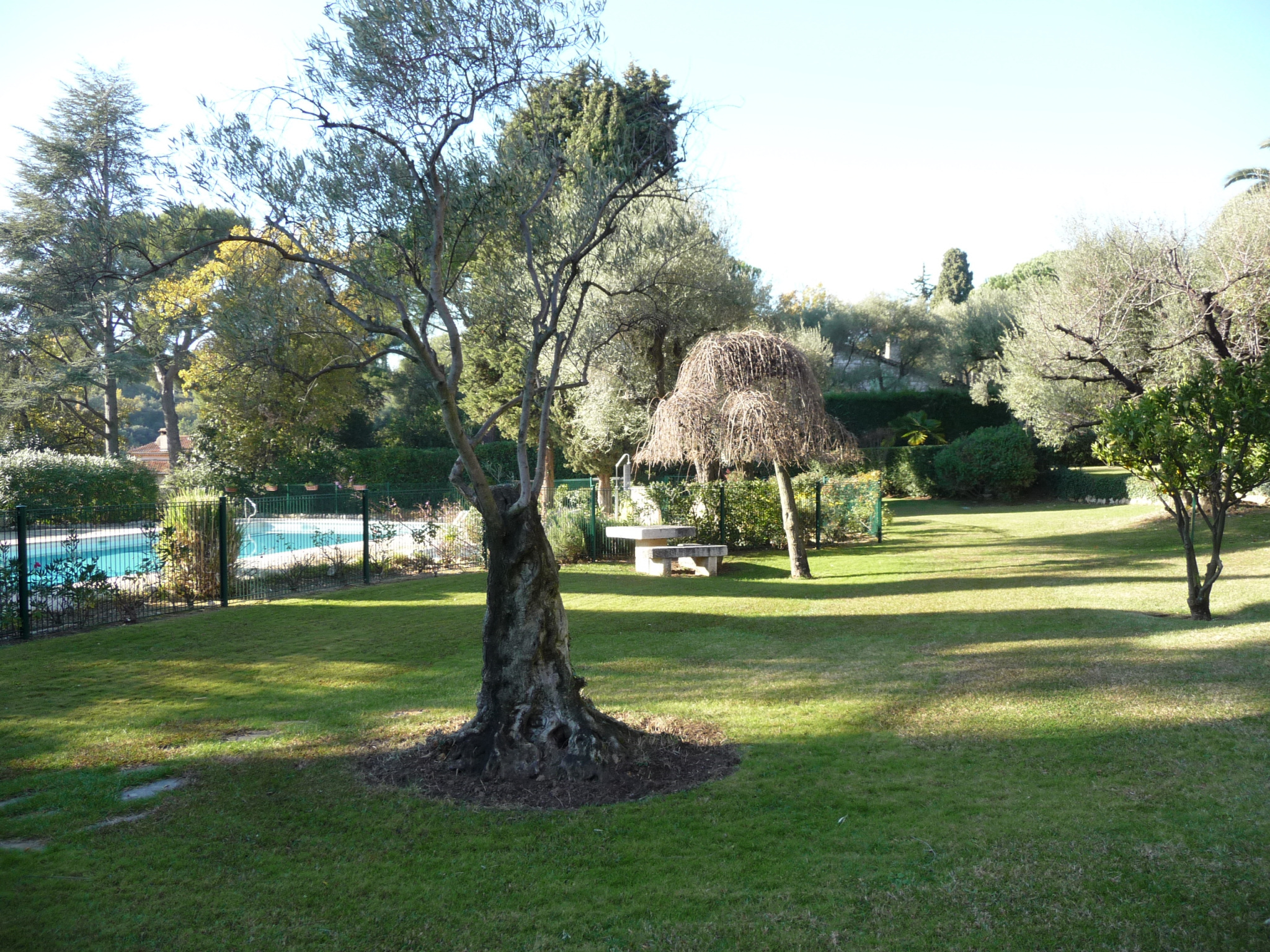 Image_, Appartement, Vence, ref :2086