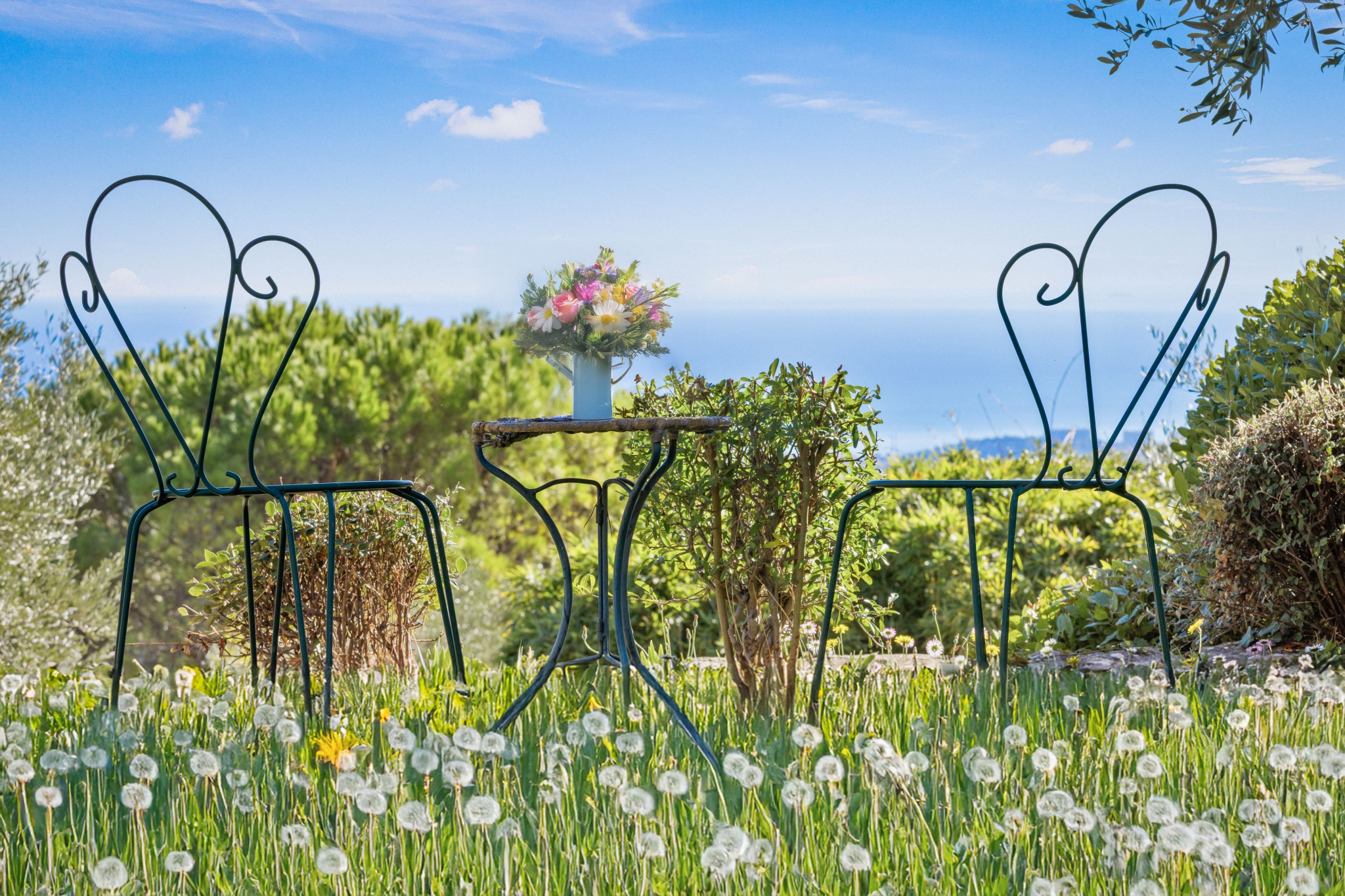 Image_, Villa, Tourrettes-sur-Loup, ref :1356