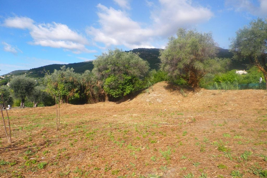 Image_, Terrain, Vence, ref :1845