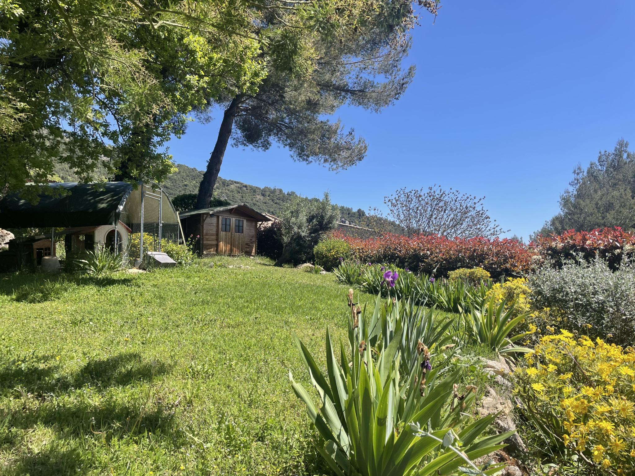 Image_, Villa, Tourrettes-sur-Loup, ref :1328