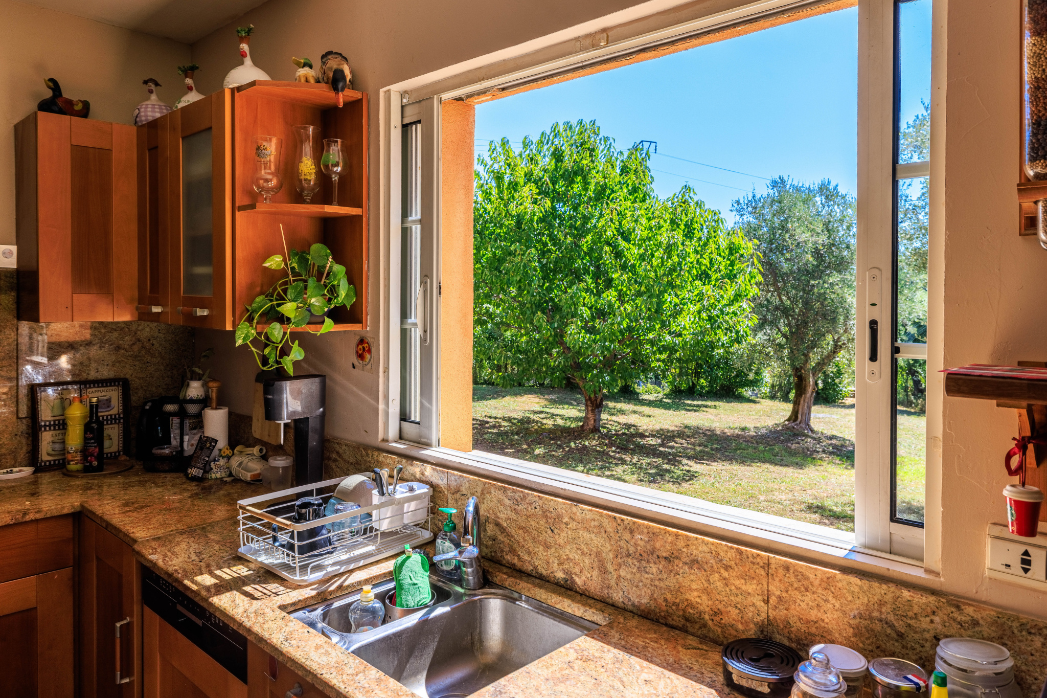 Image_, Villa, Tourrettes-sur-Loup, ref :1337