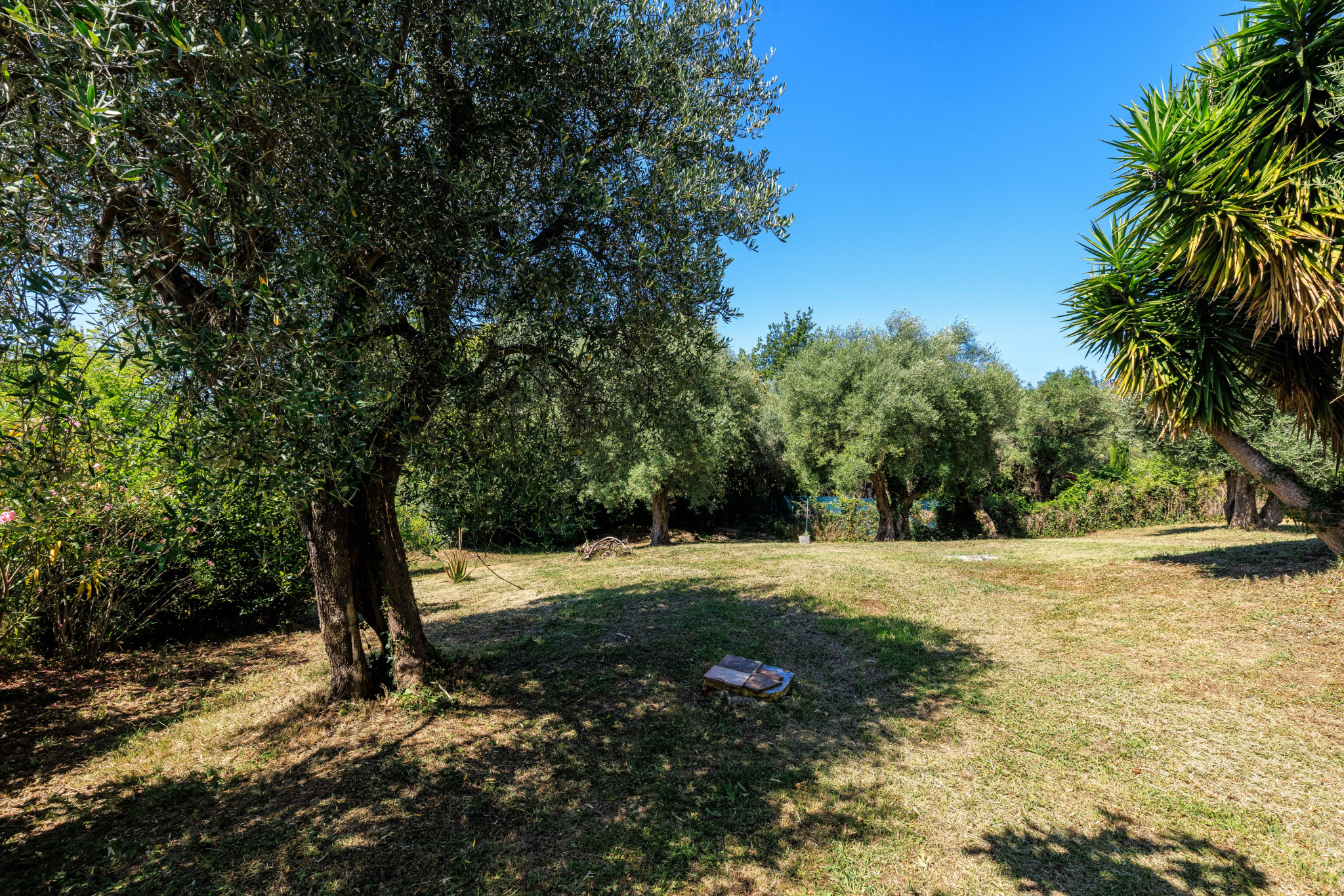 Image_, Villa, Tourrettes-sur-Loup, ref :1337