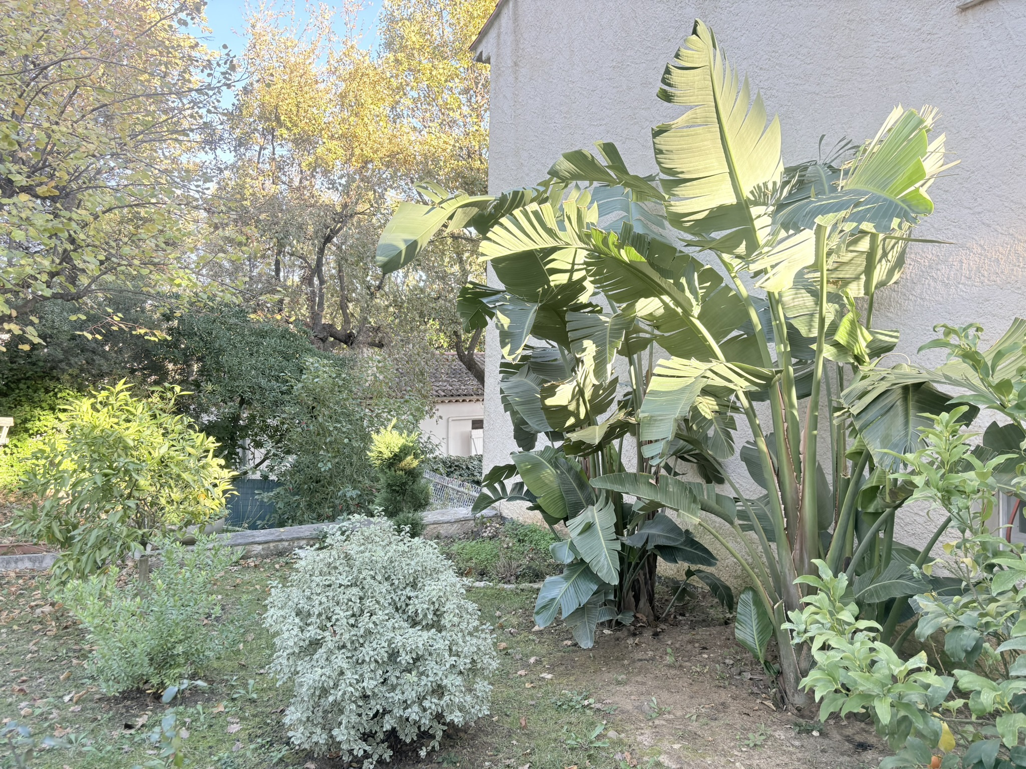 Image_, Villa, Vence, ref :1888