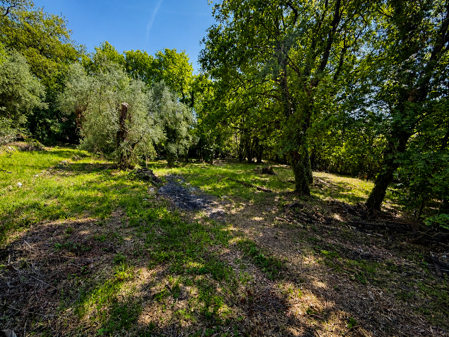 Image_, Villa, Tourrettes-sur-Loup, ref :1414