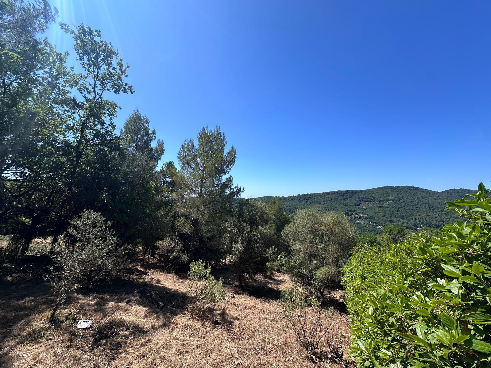 Image_, Terrain, Tourrettes-sur-Loup, ref :1343
