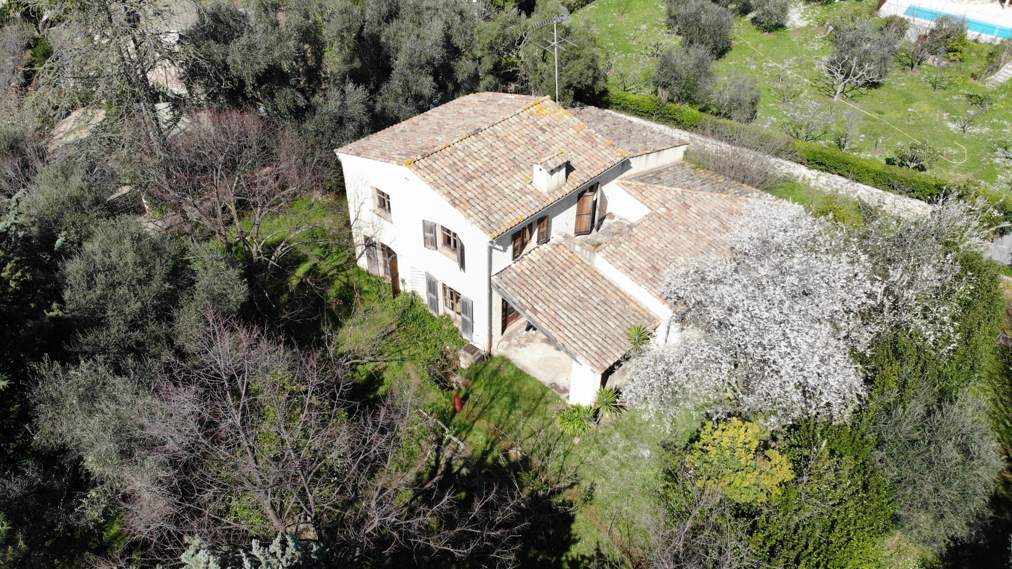 Image_, Villa, Vence, ref :2065