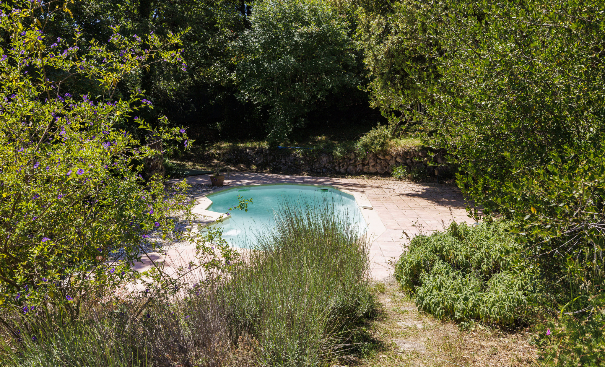 Image_, Villa, Tourrettes-sur-Loup, ref :1360-4