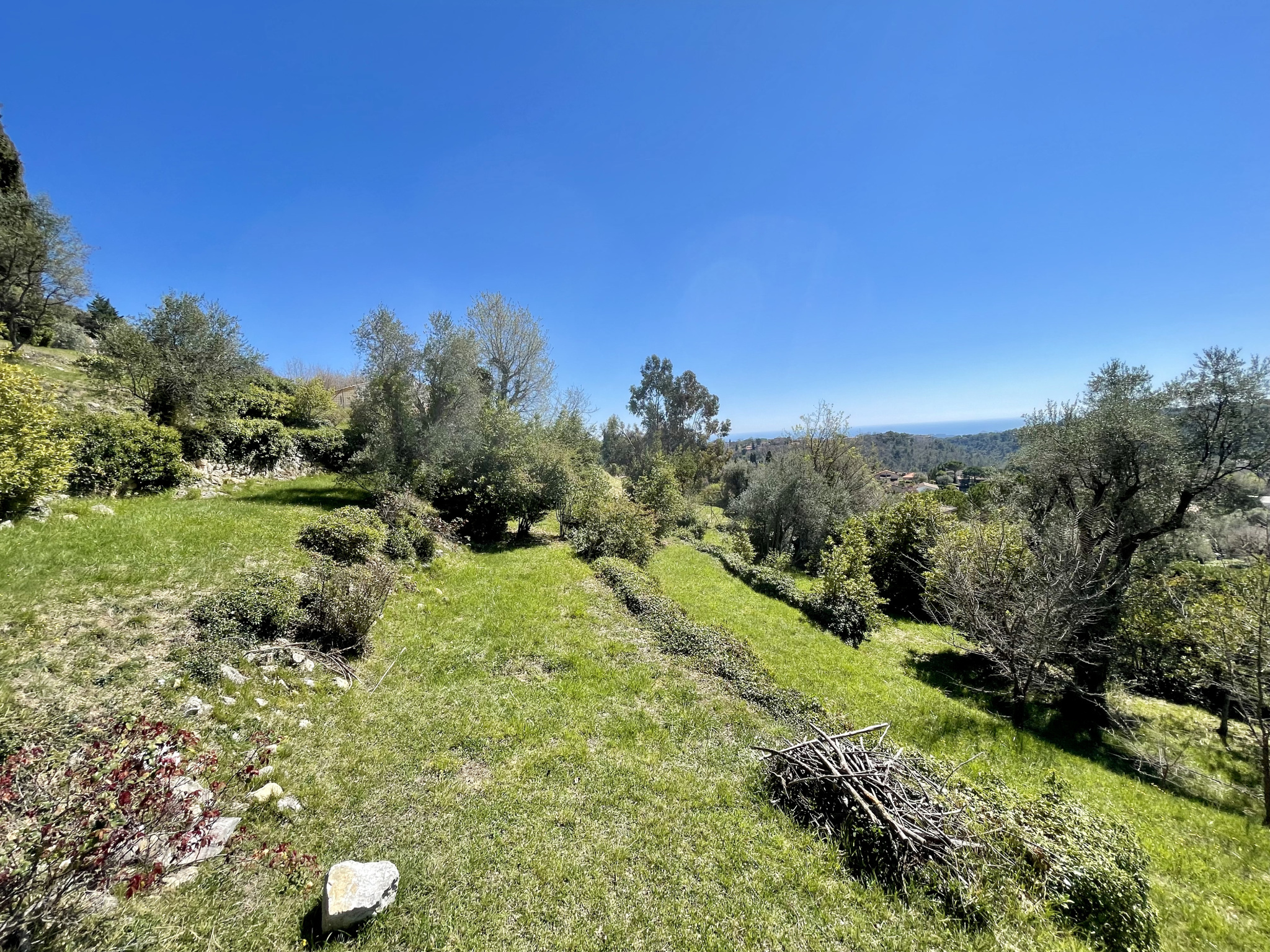 Image_, Terrain, Vence, ref :4251