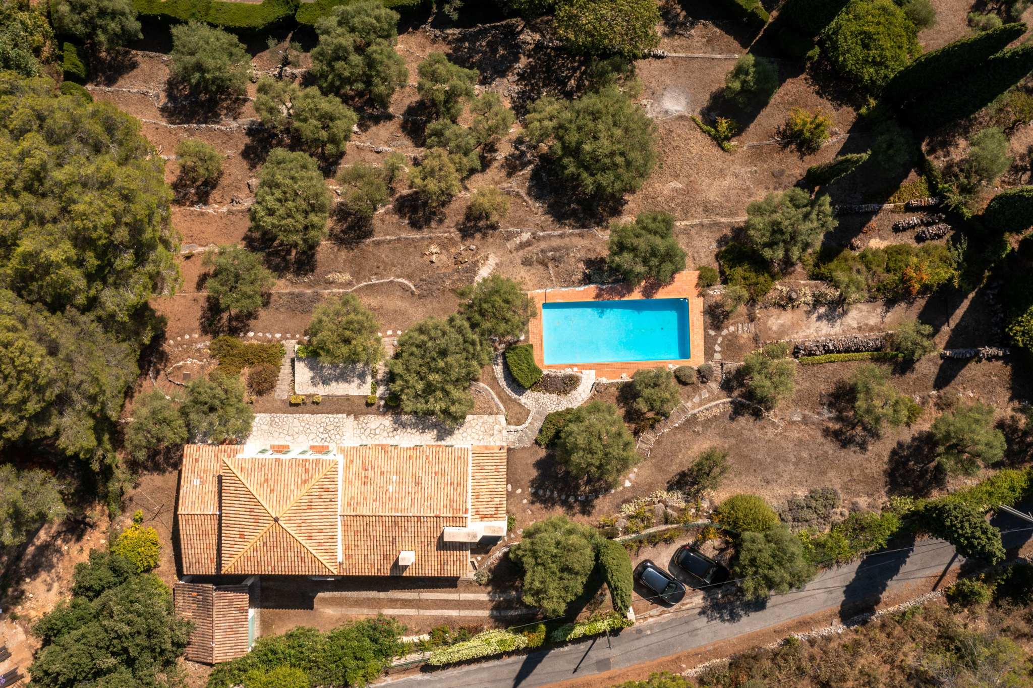 Image_, Villa, Tourrettes-sur-Loup, ref :1347
