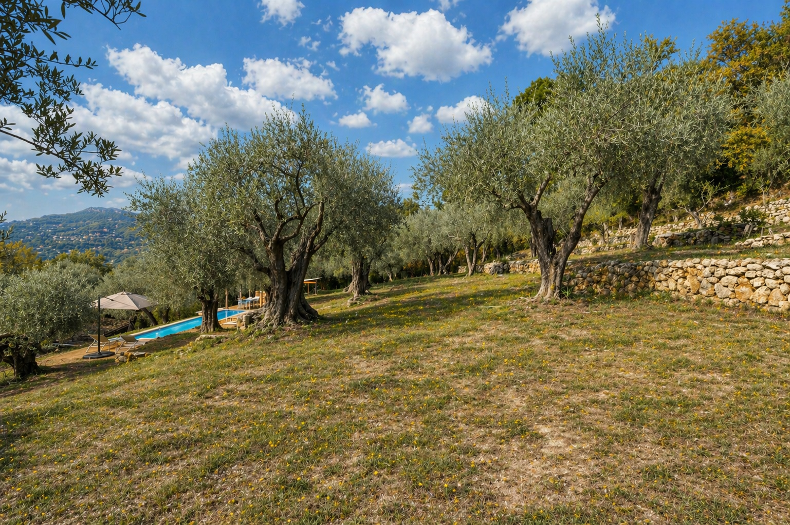 Image_, Villa, Tourrettes-sur-Loup, ref :1373-2