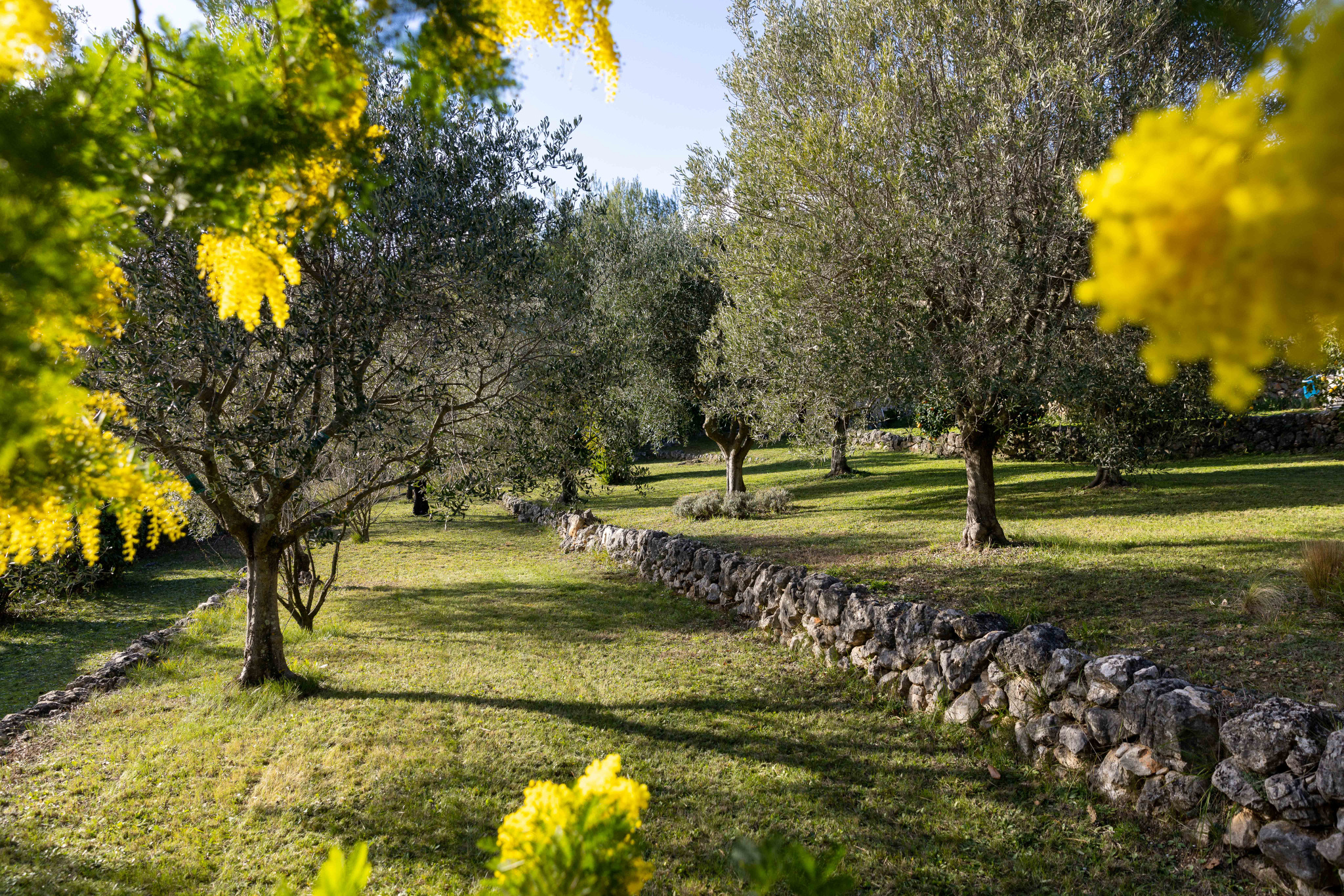 Image_, Villa, Tourrettes-sur-Loup, ref :1259-1