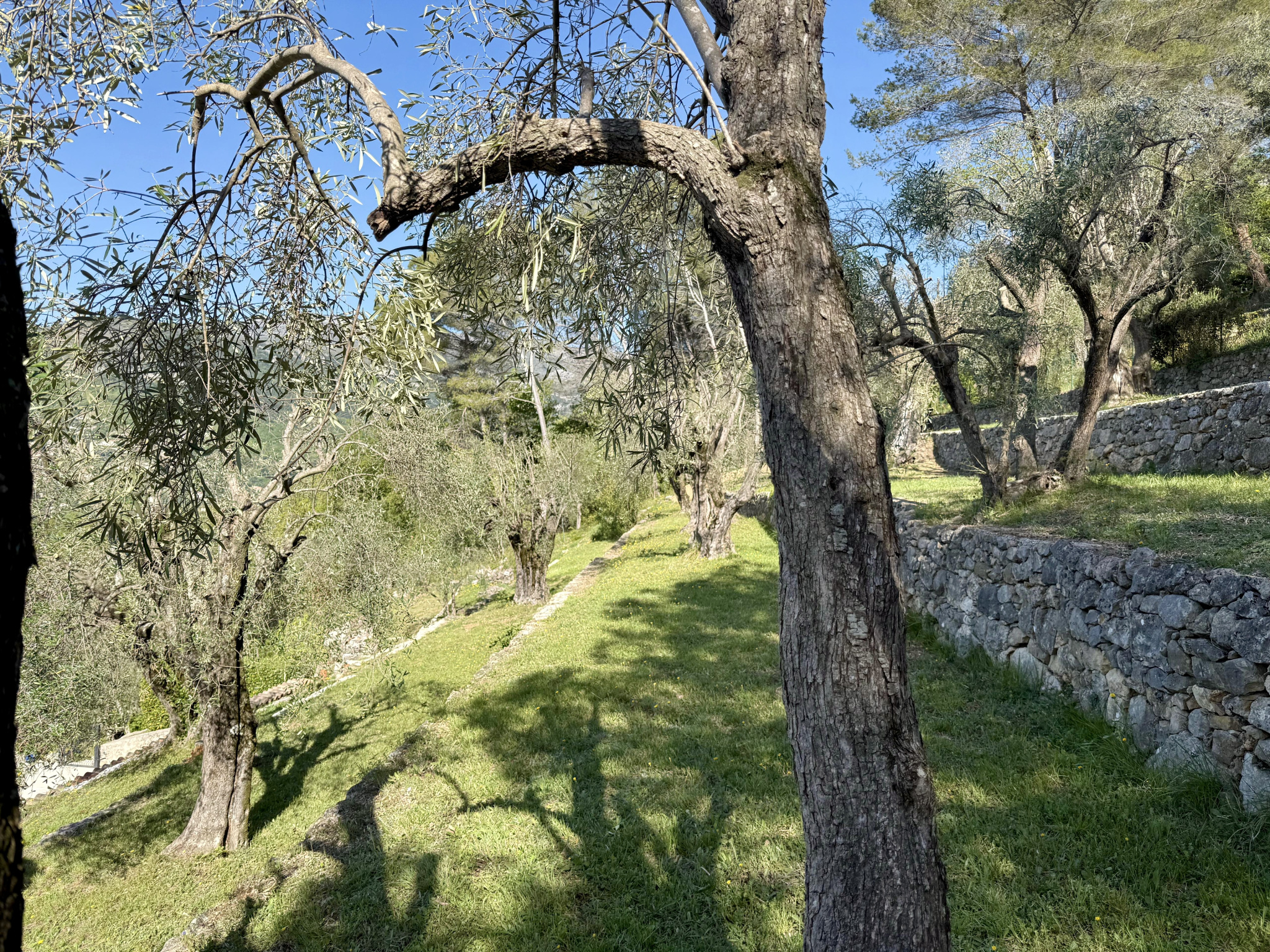 Image_, Villa, Tourrettes-sur-Loup, ref :1406