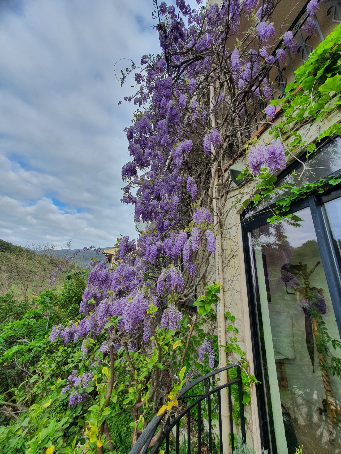 Image_, Villa, Vence, ref :2049