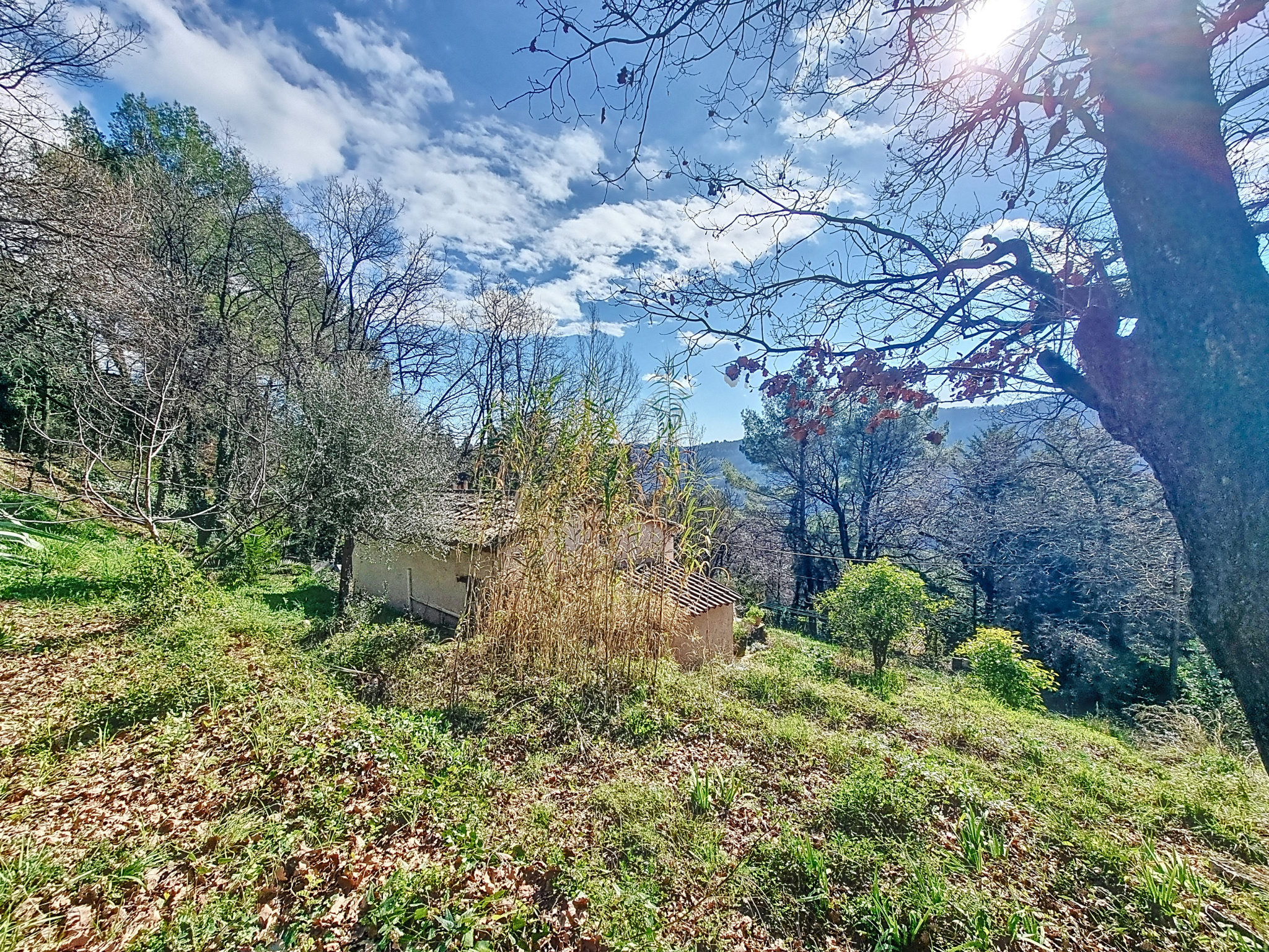 Image_, Maison, Tourrettes-sur-Loup, ref :1966