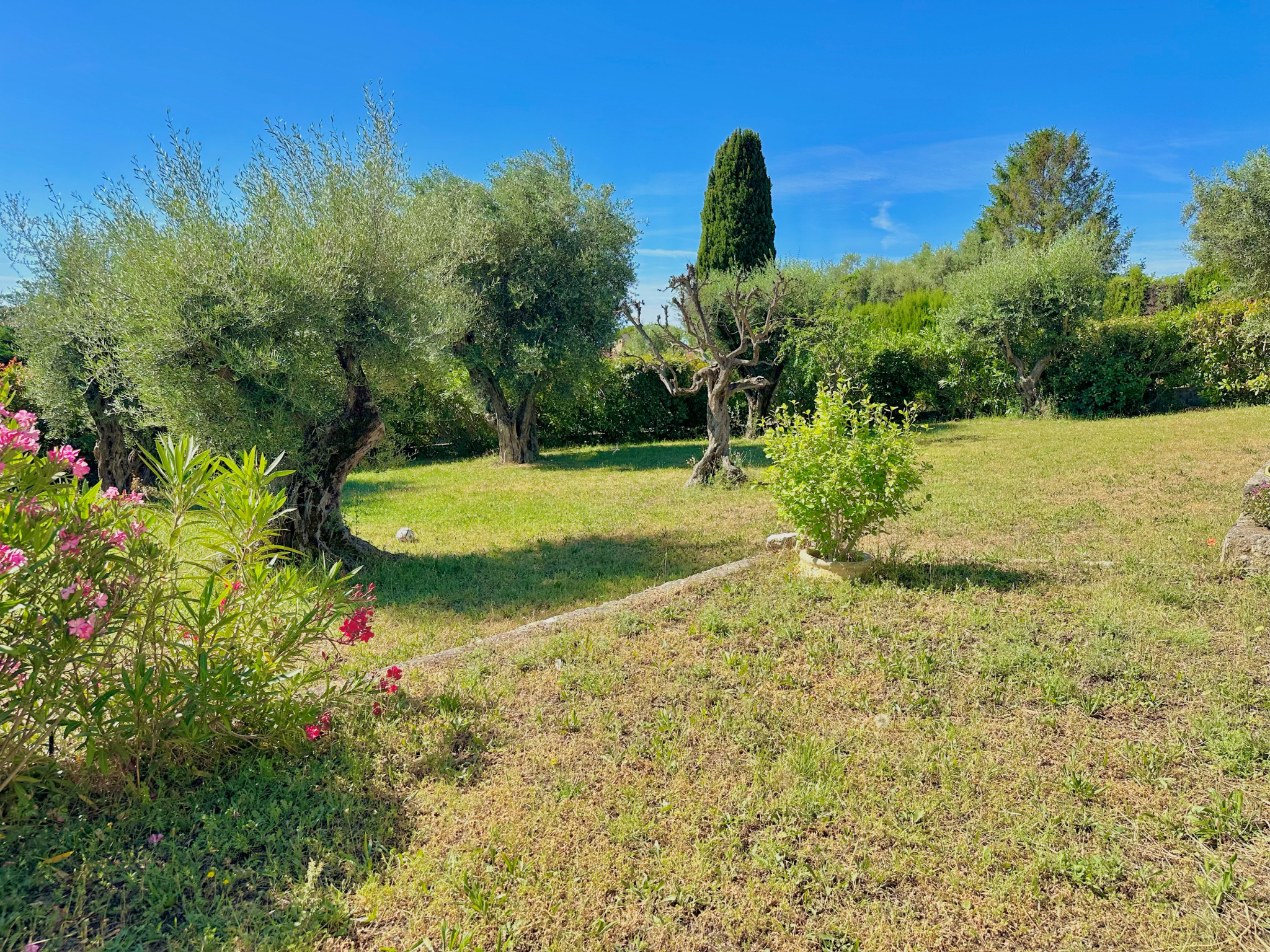 Image_, Villa, Tourrettes-sur-Loup, ref :1427
