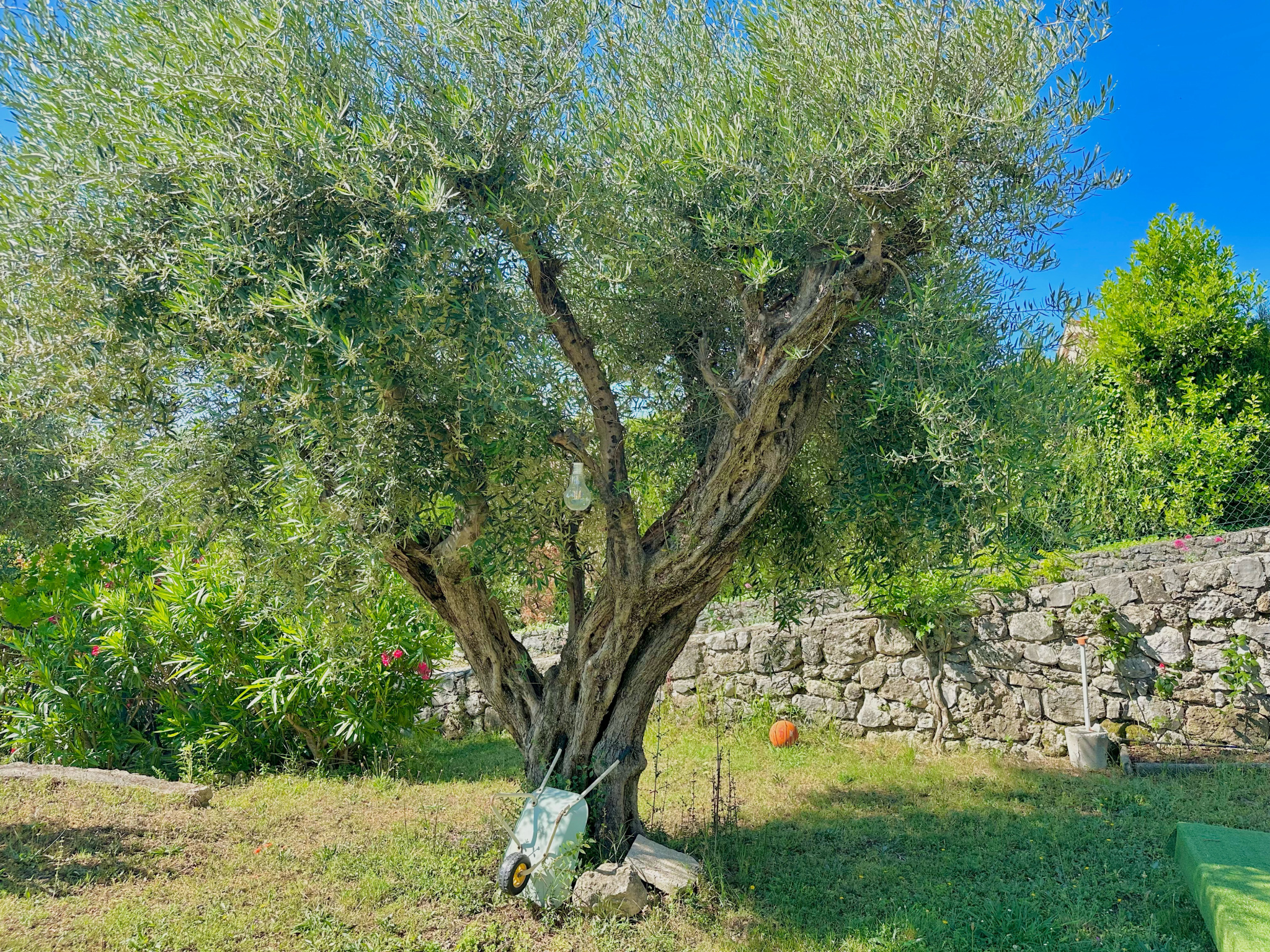 Image_, Villa, Tourrettes-sur-Loup, ref :1427
