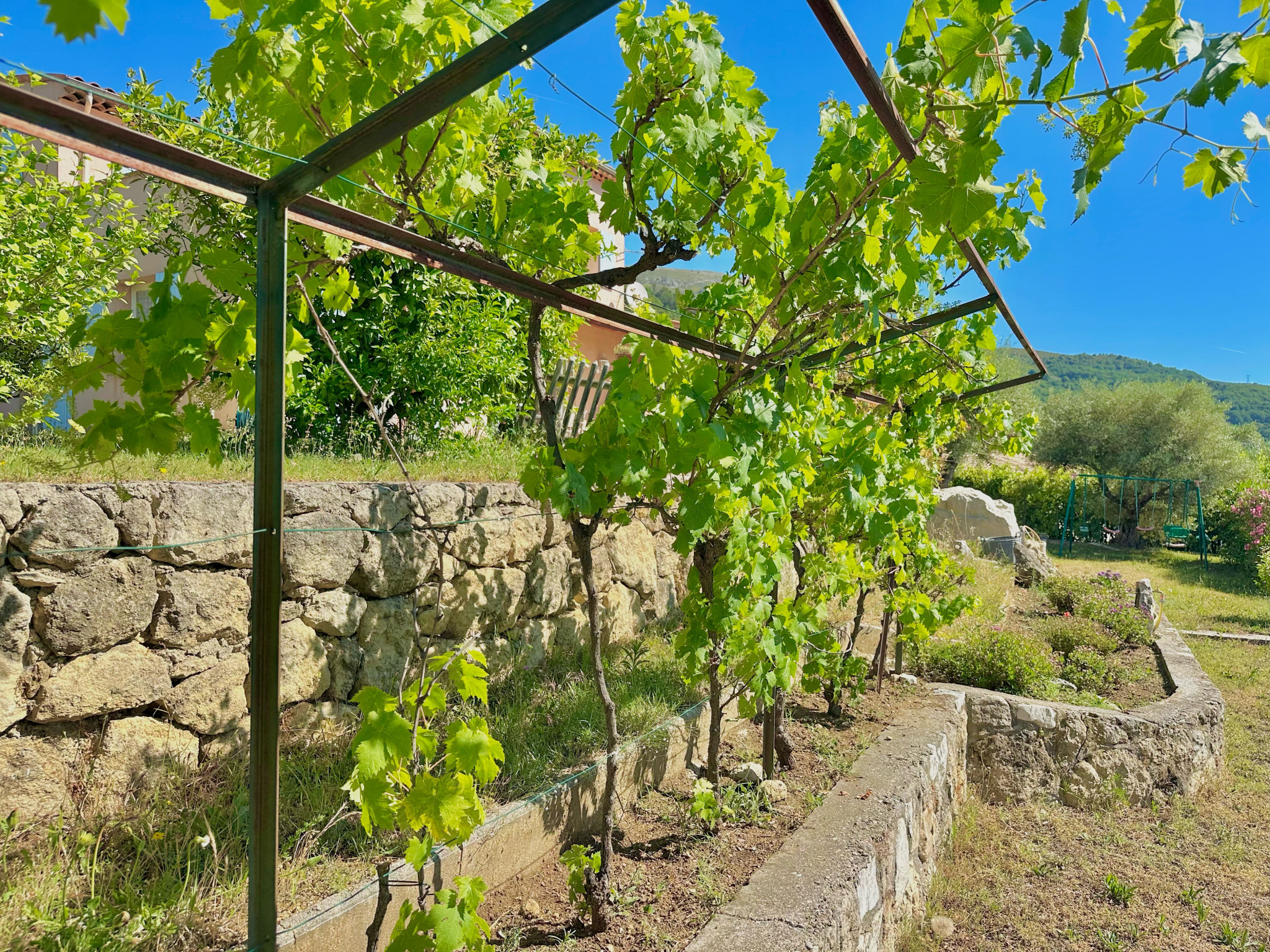 Image_, Villa, Tourrettes-sur-Loup, ref :1427