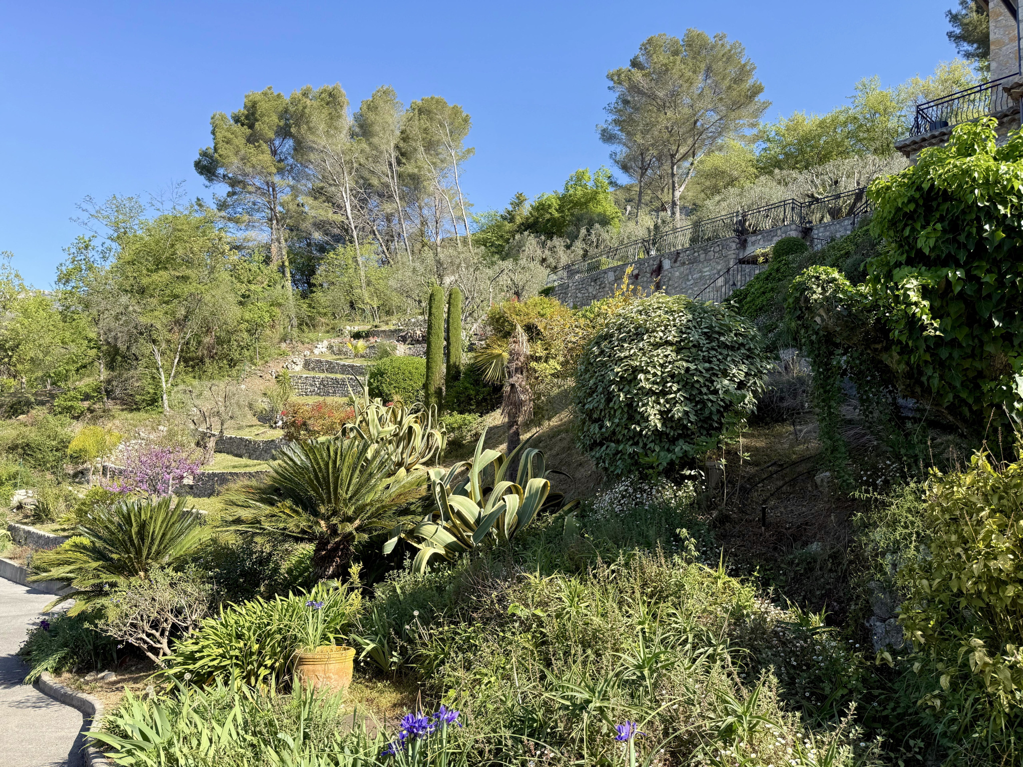 Image_, Villa, Tourrettes-sur-Loup, ref :1406-2