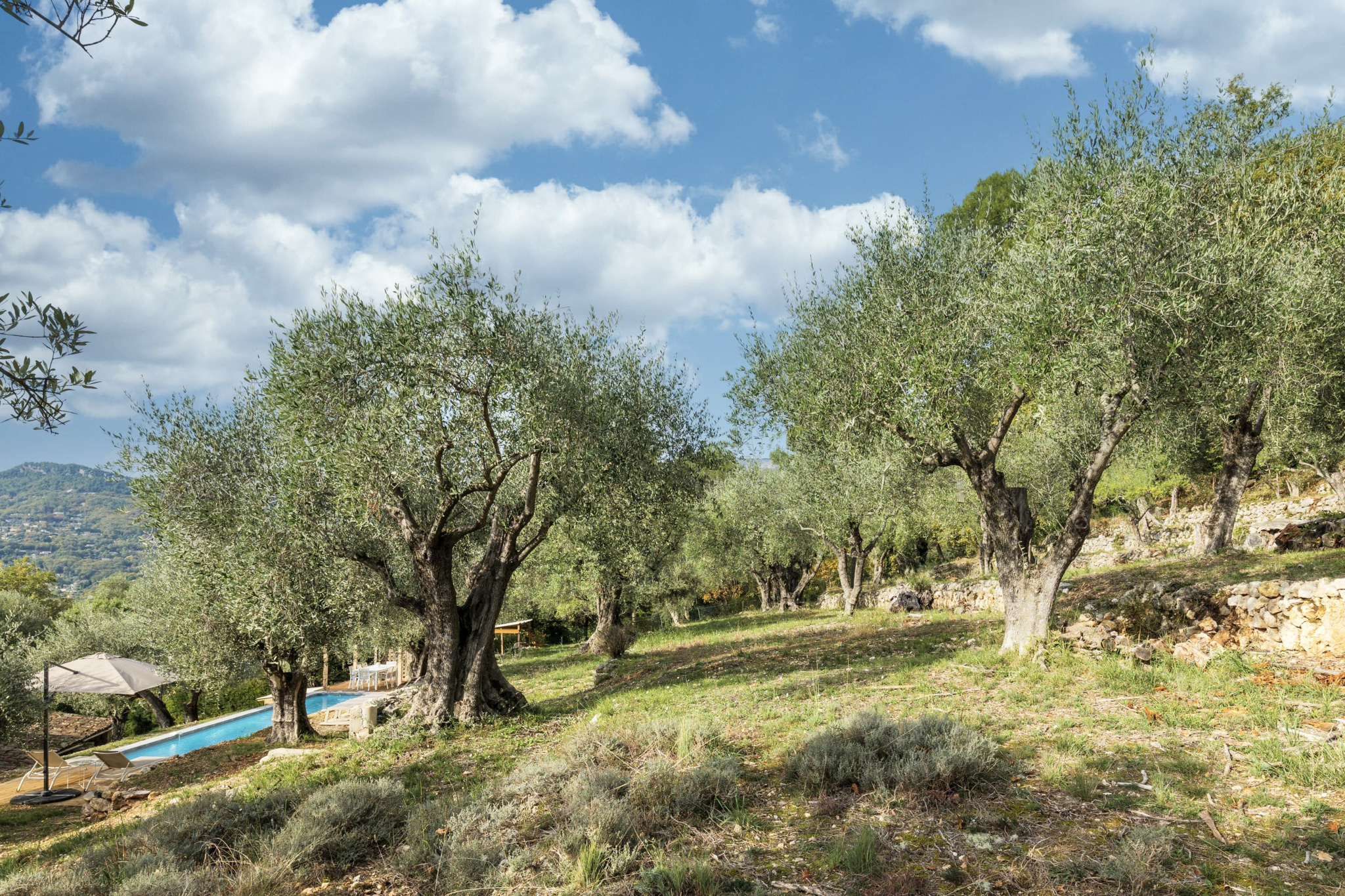 Image_, Villa, Tourrettes-sur-Loup, ref :1373