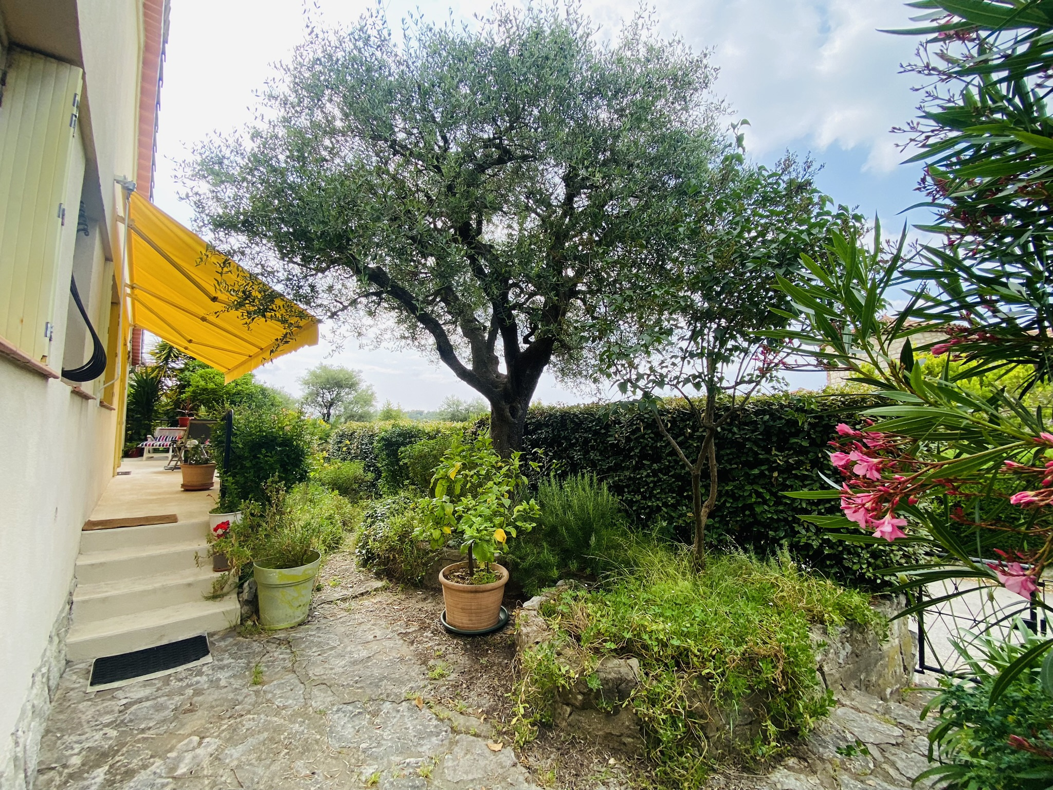 Image_, Villa, Vence, ref :1880