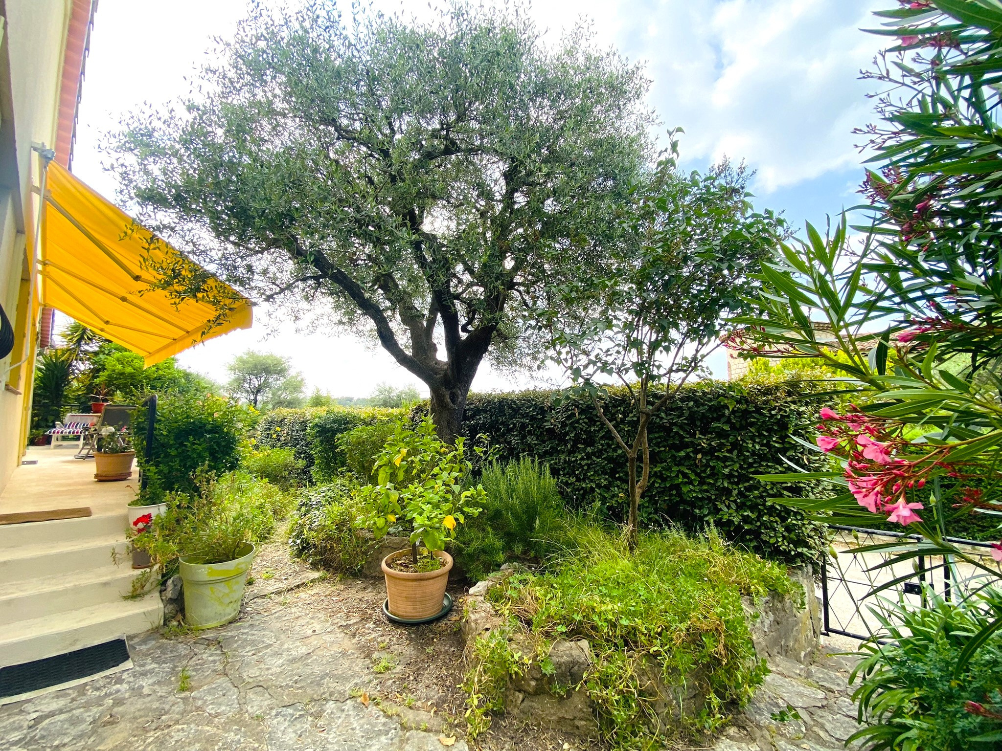 Image_, Villa, Vence, ref :1880