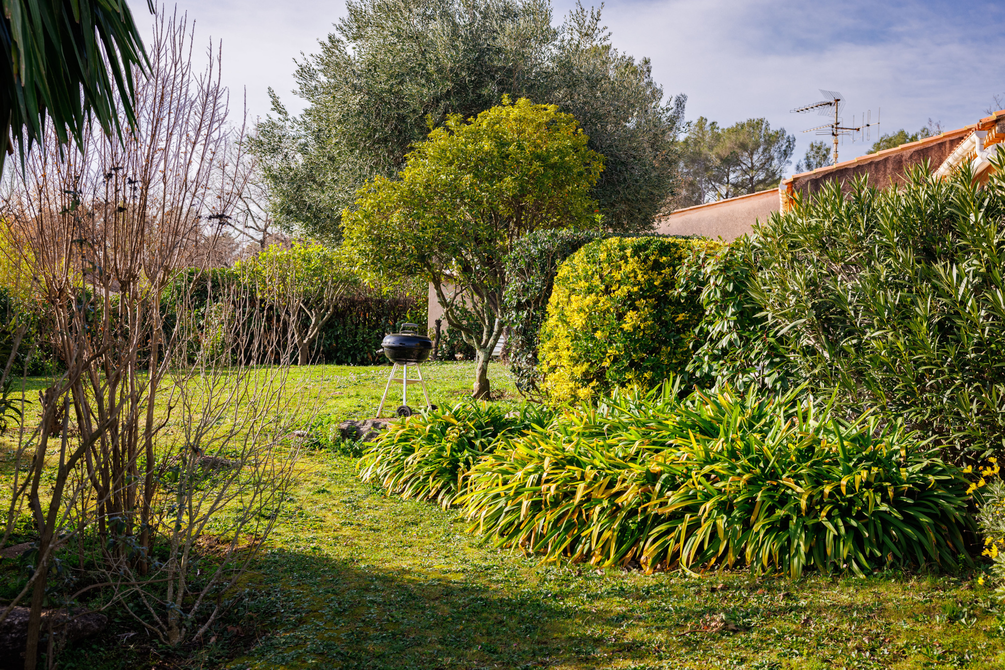 Image_, Villa, Tourrettes-sur-Loup, ref :1389