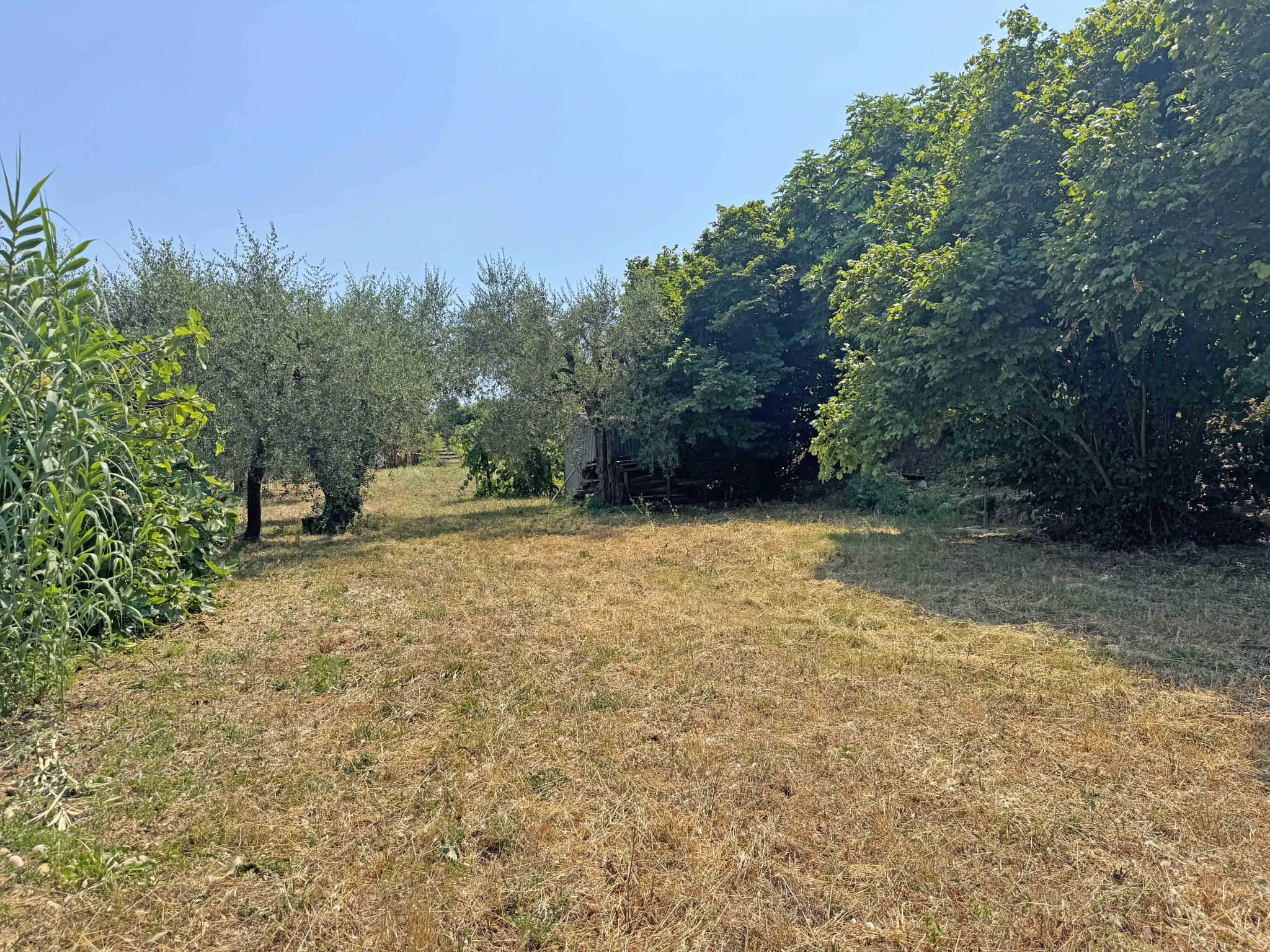 Image_, Maison, Gattières, ref :4260