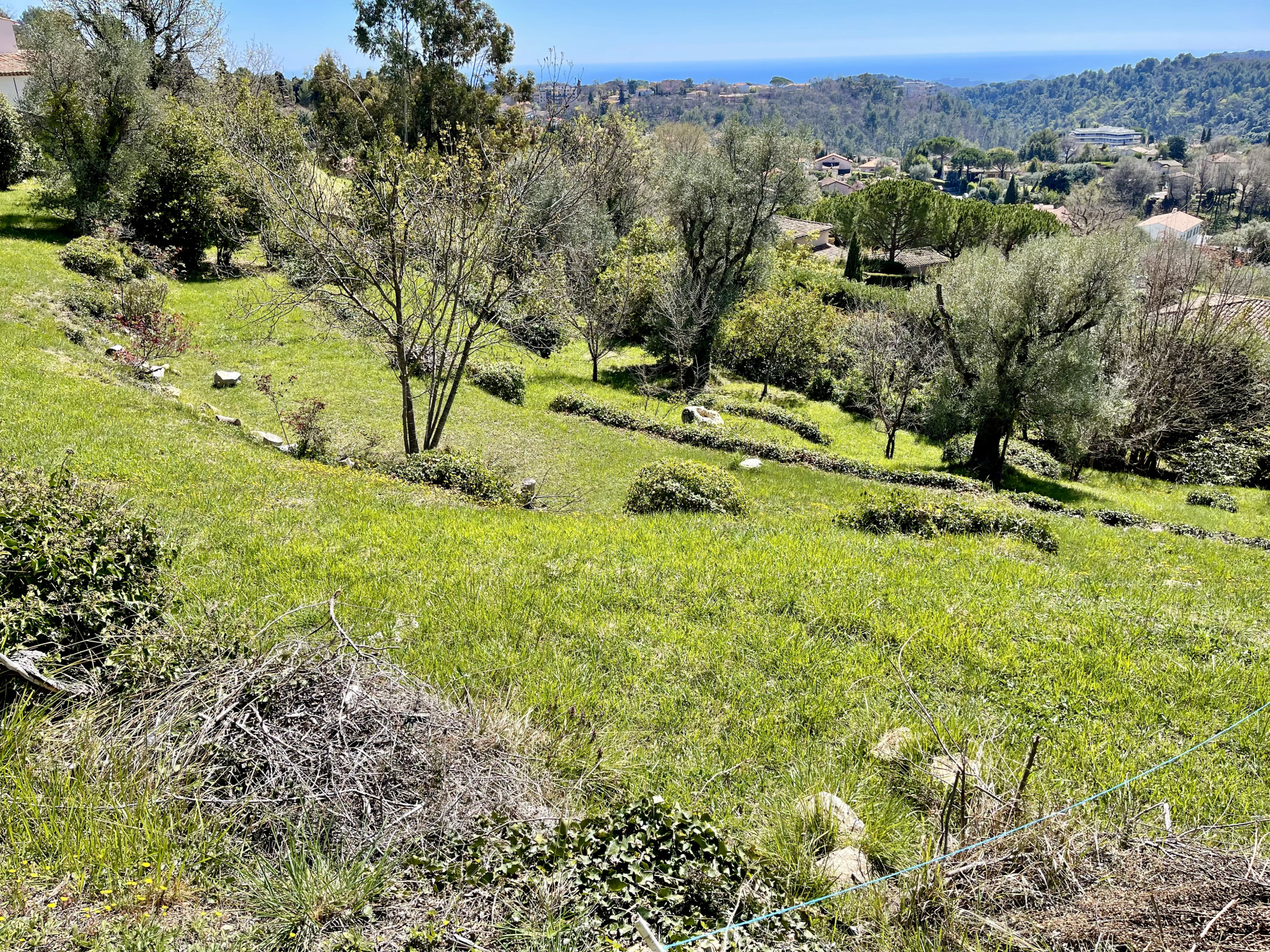 Image_, Terrain, Vence, ref :4252