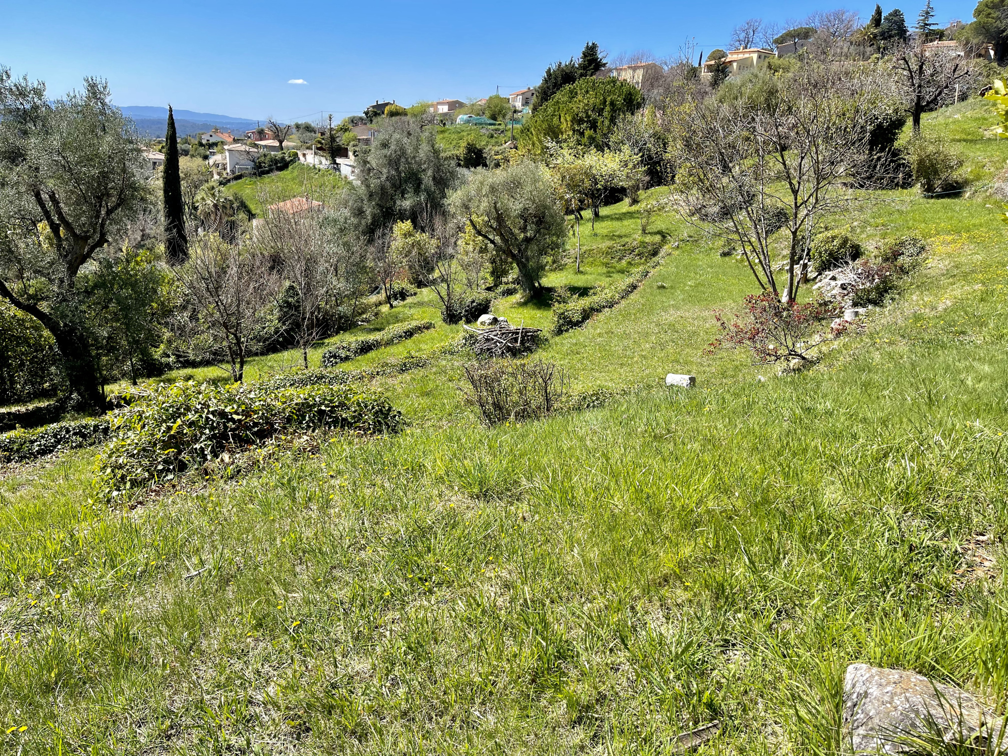 Image_, Terrain, Vence, ref :4252