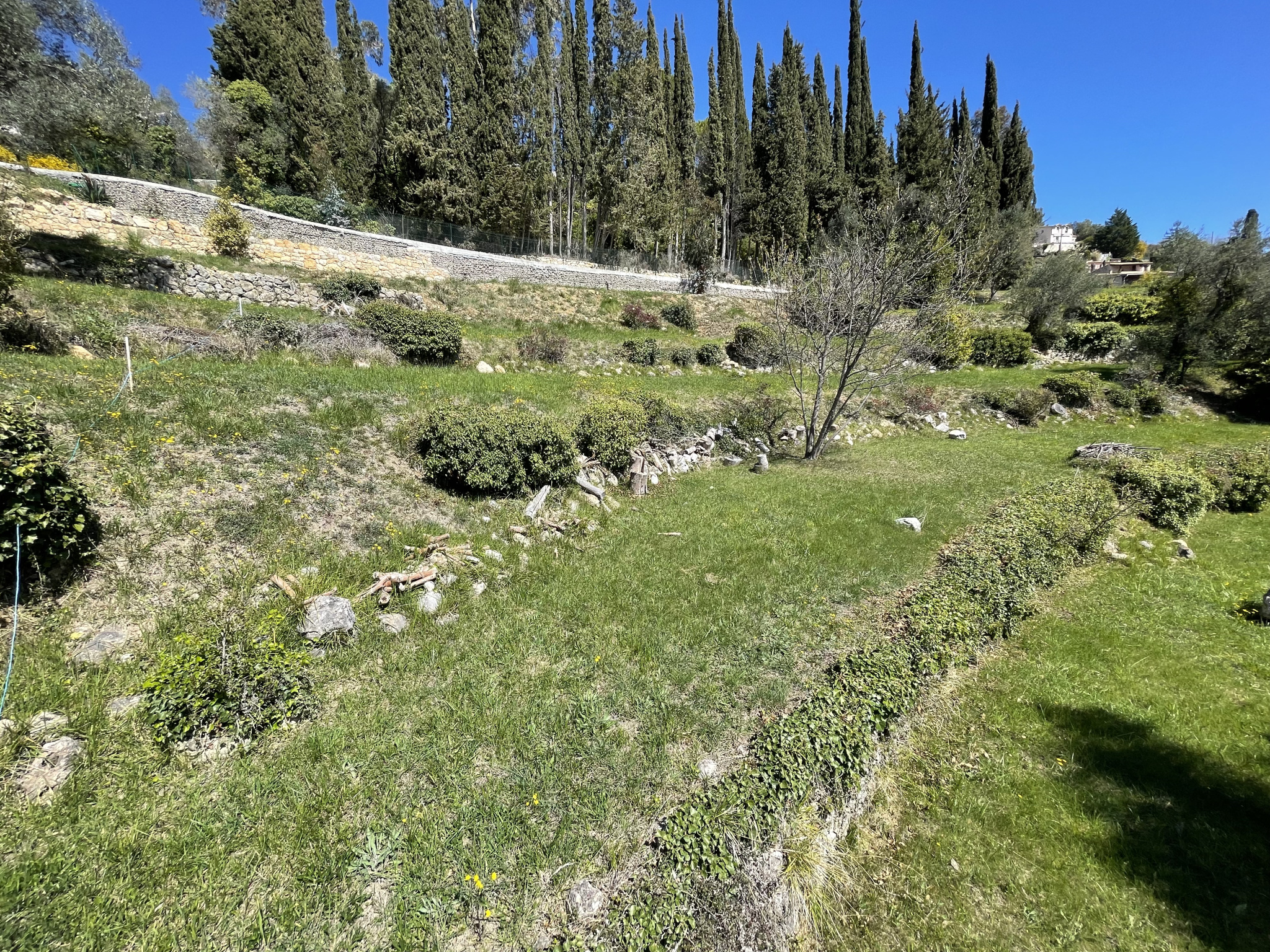 Image_, Terrain, Vence, ref :4252