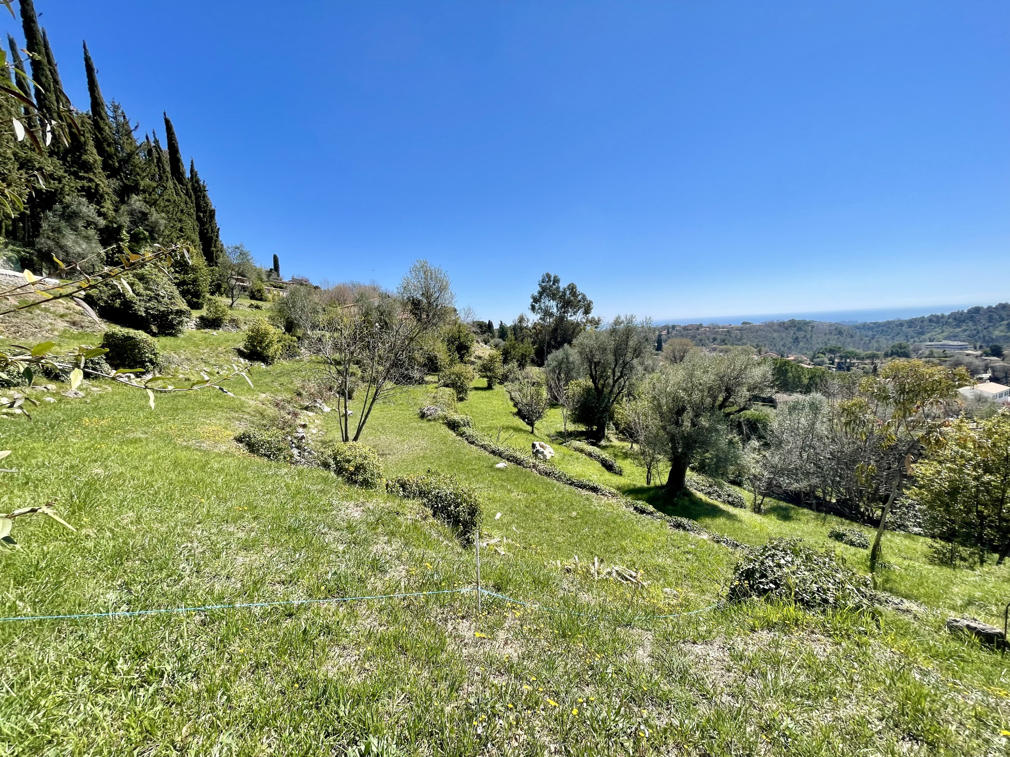 Image_, Terrain, Vence, ref :4252