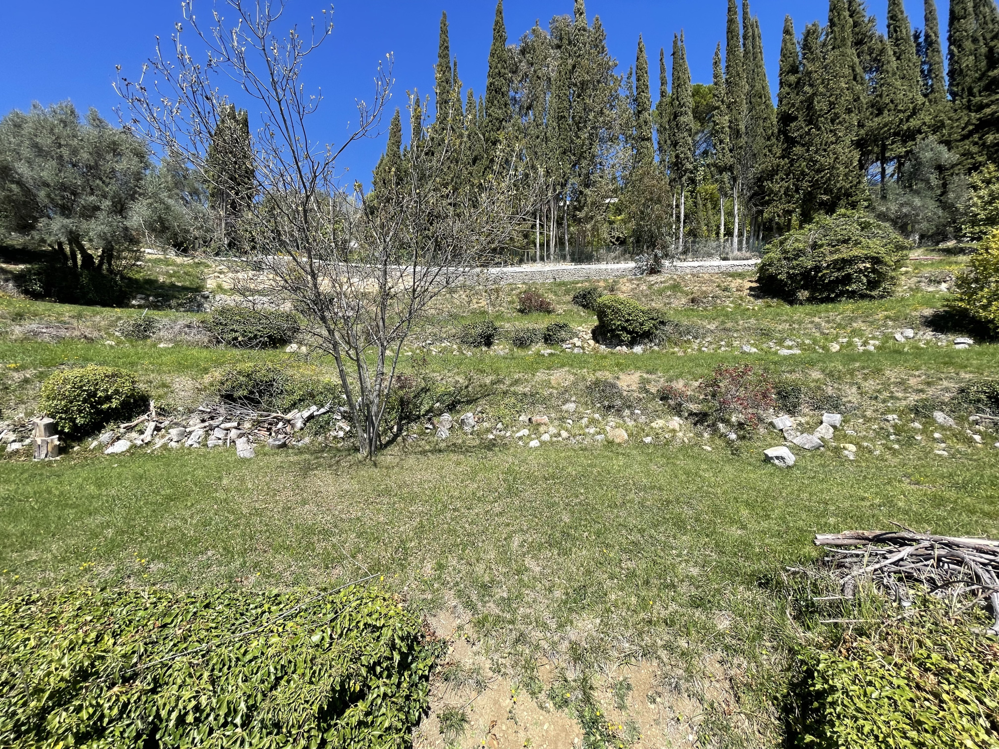 Image_, Terrain, Vence, ref :4252