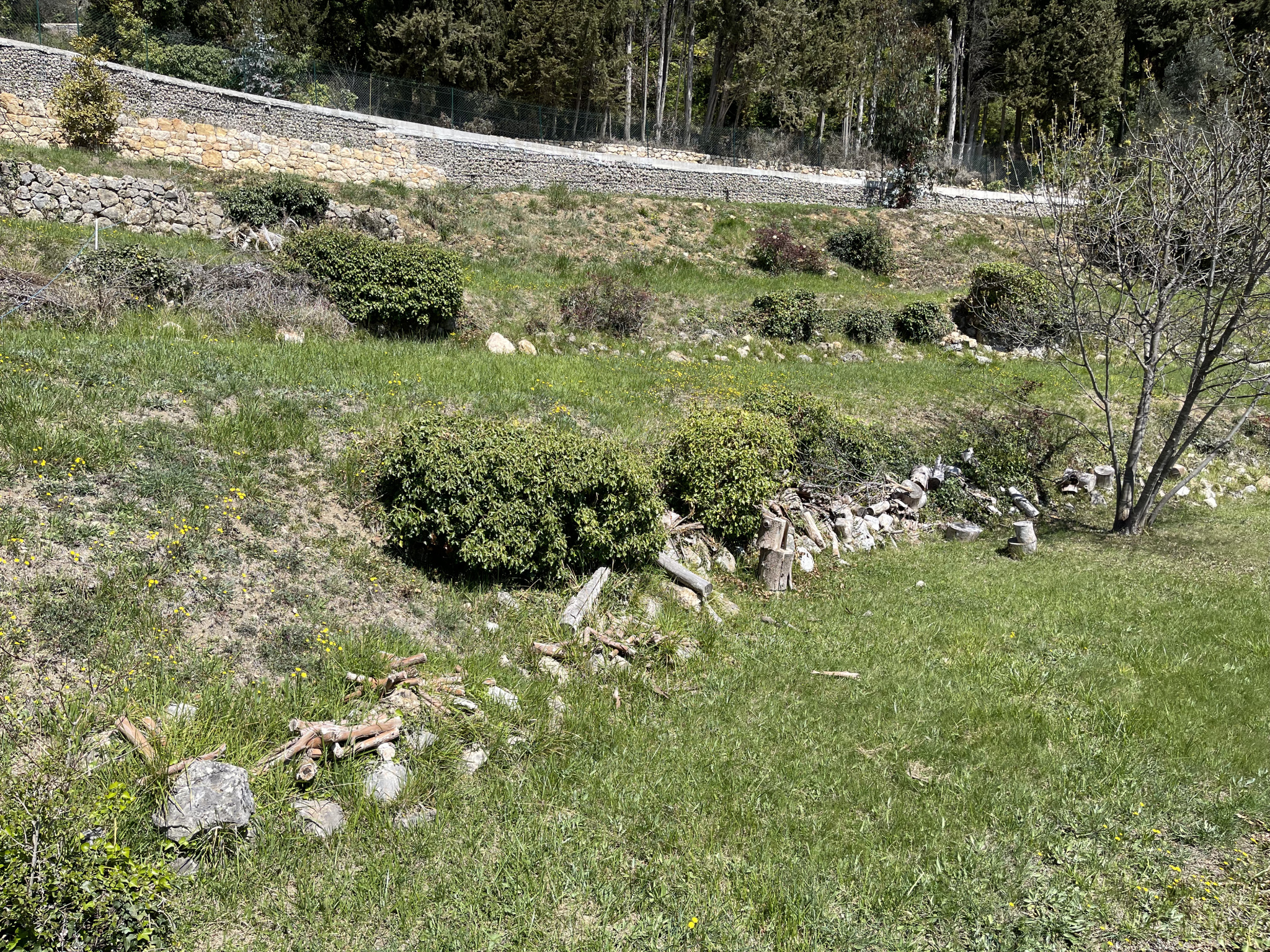 Image_, Terrain, Vence, ref :4252