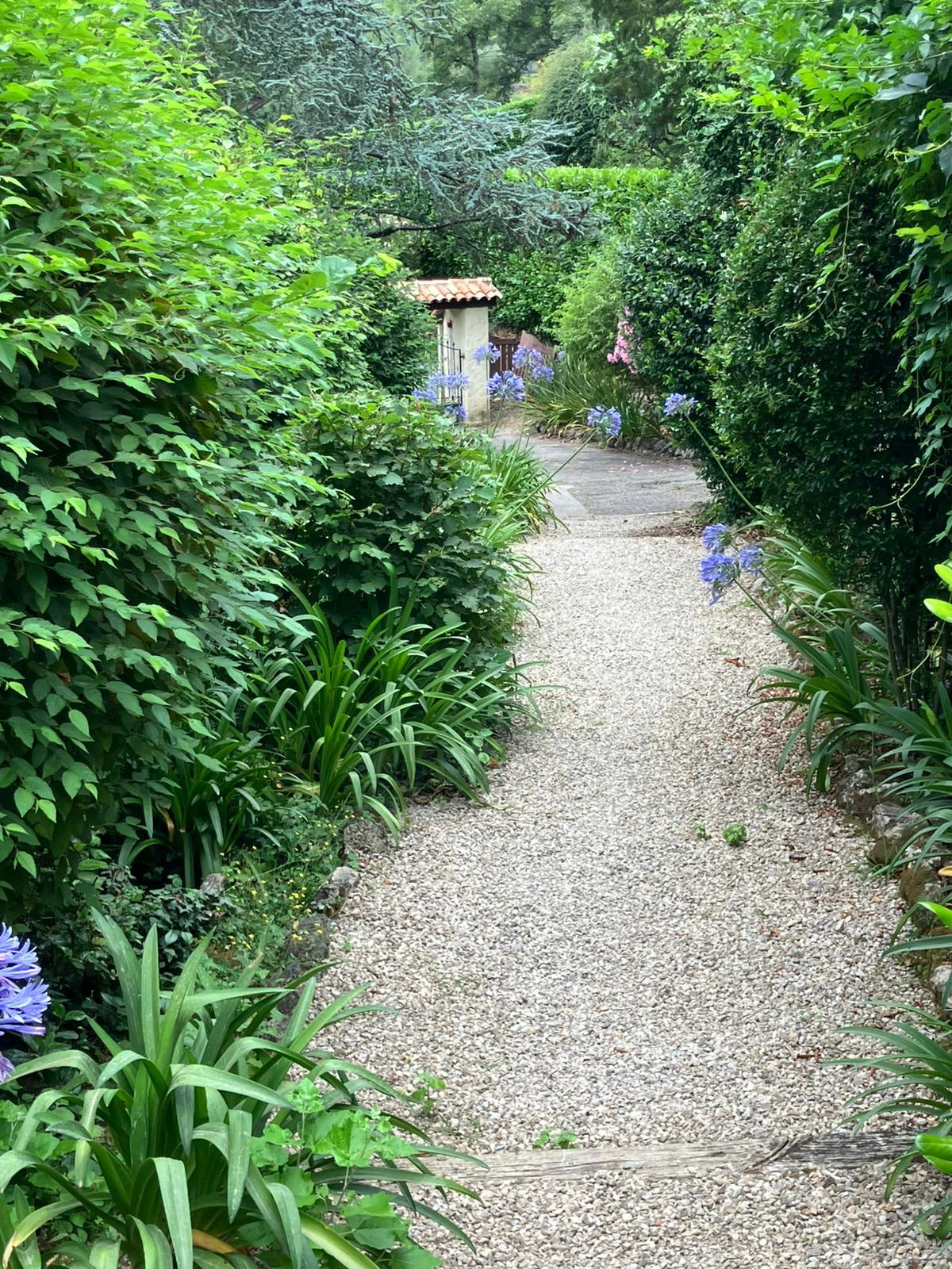 Image_, Villa, Tourrettes-sur-Loup, ref :1394