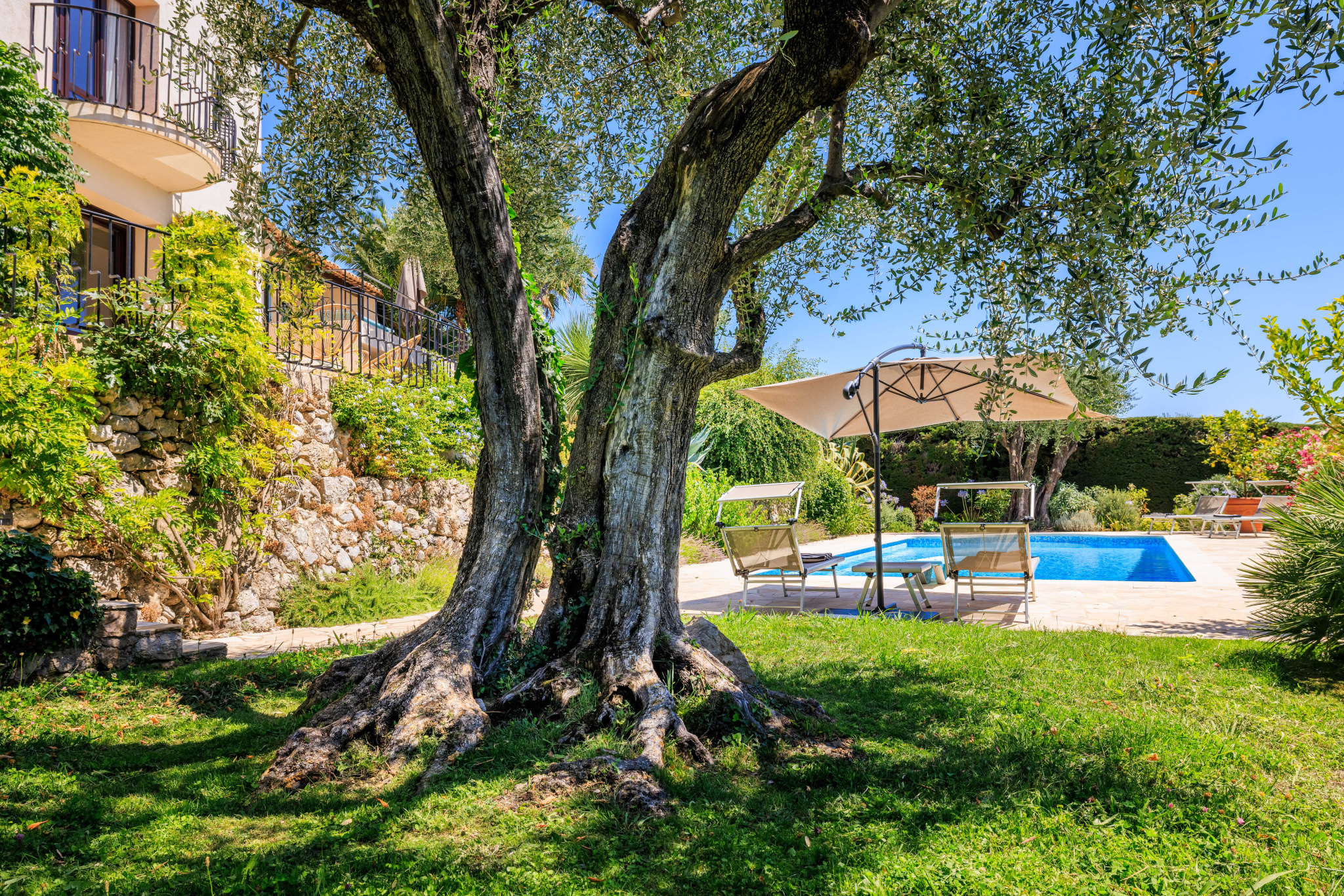 Image_, Villa, Vence, ref :D119
