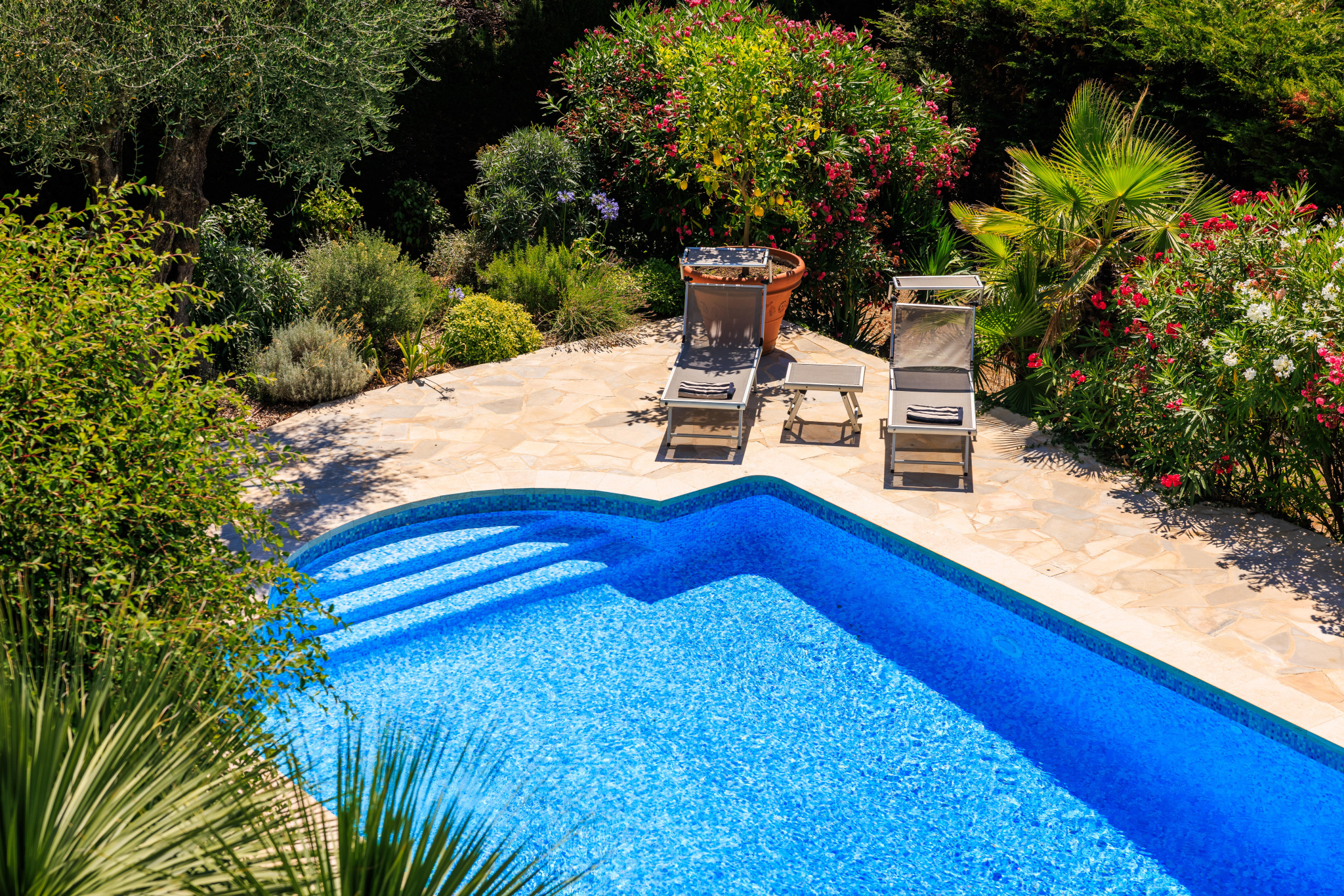 Image_, Villa, Vence, ref :D119