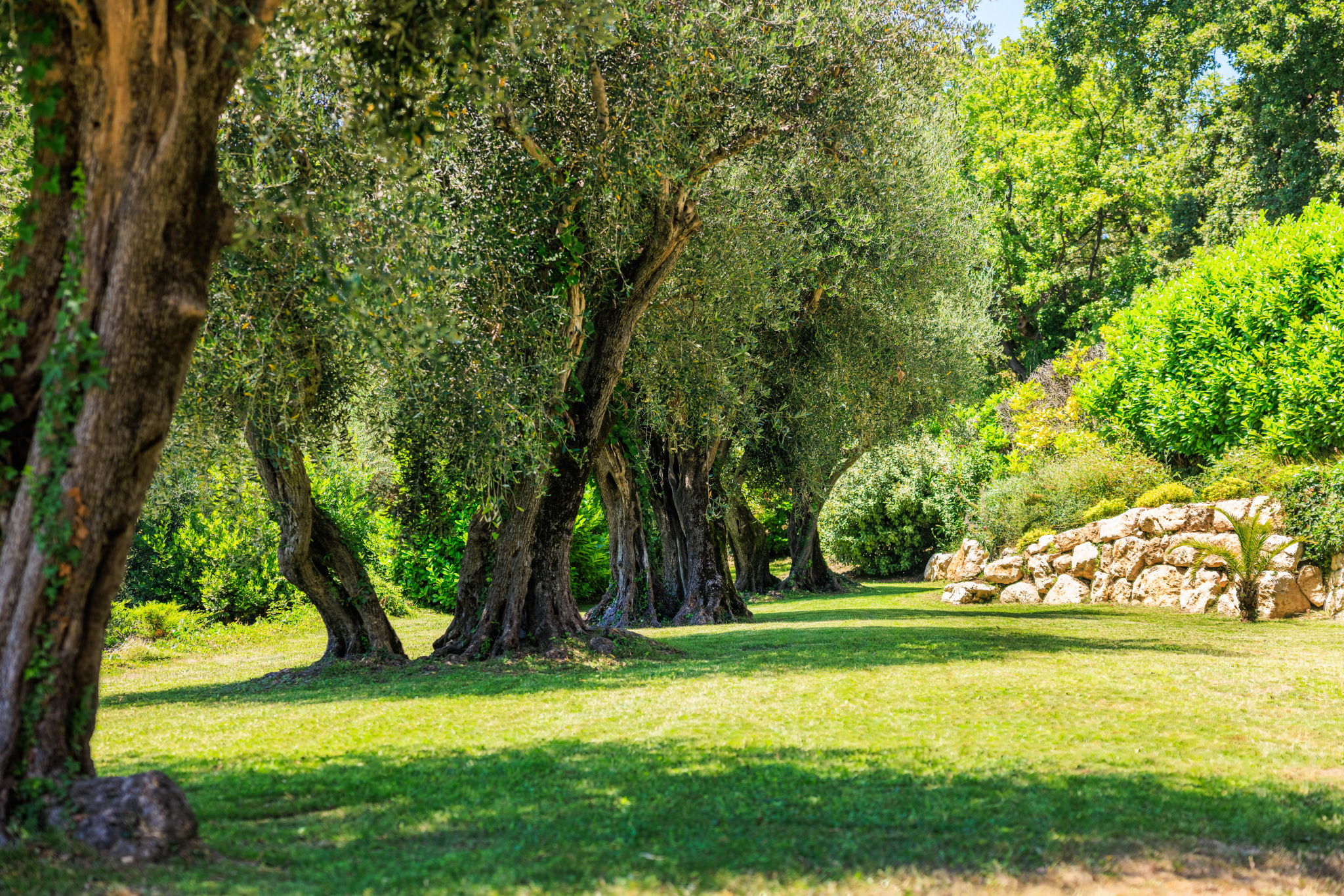 Image_, Villa, Vence, ref :D119