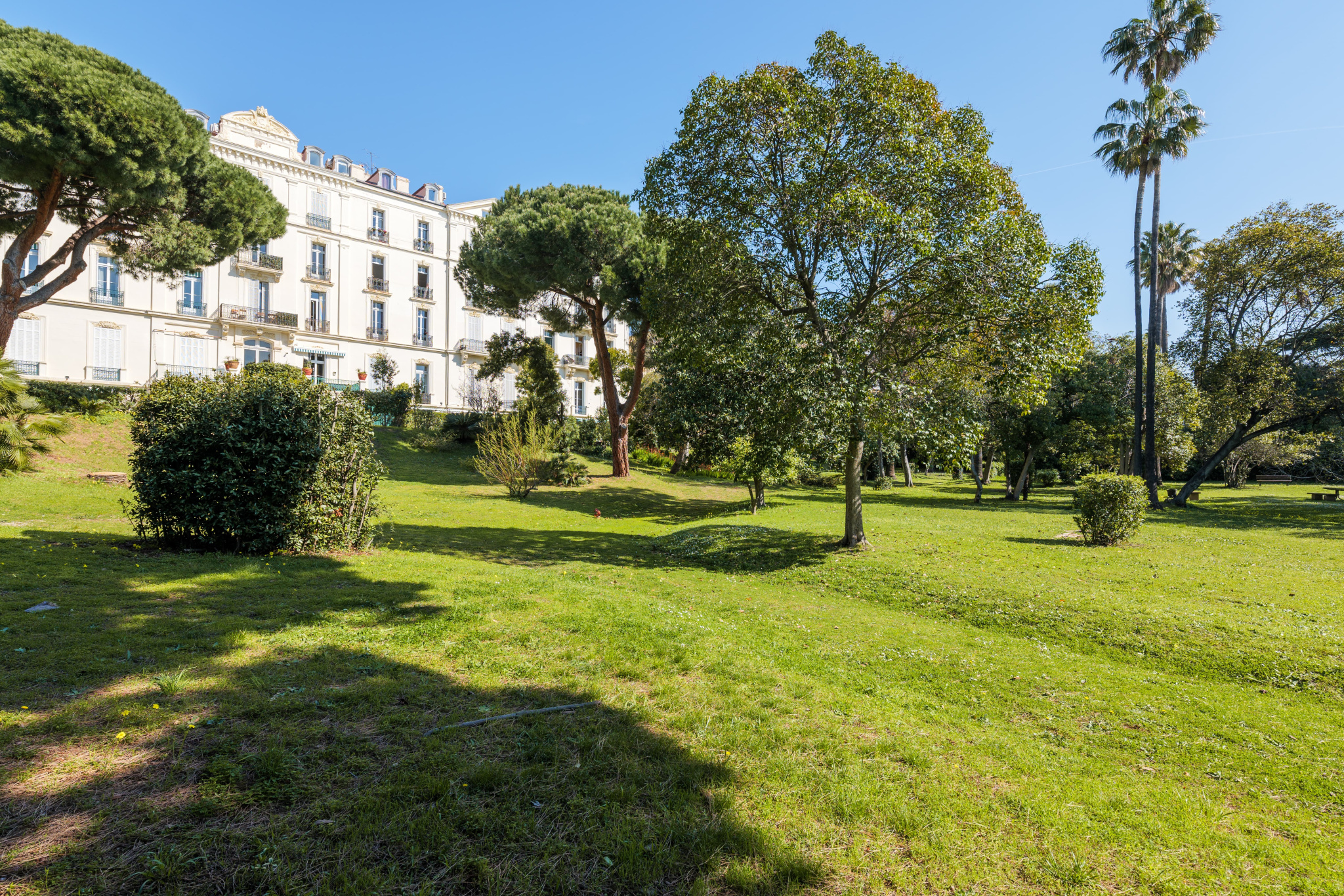 Image_, Appartement, Cannes, ref :1411