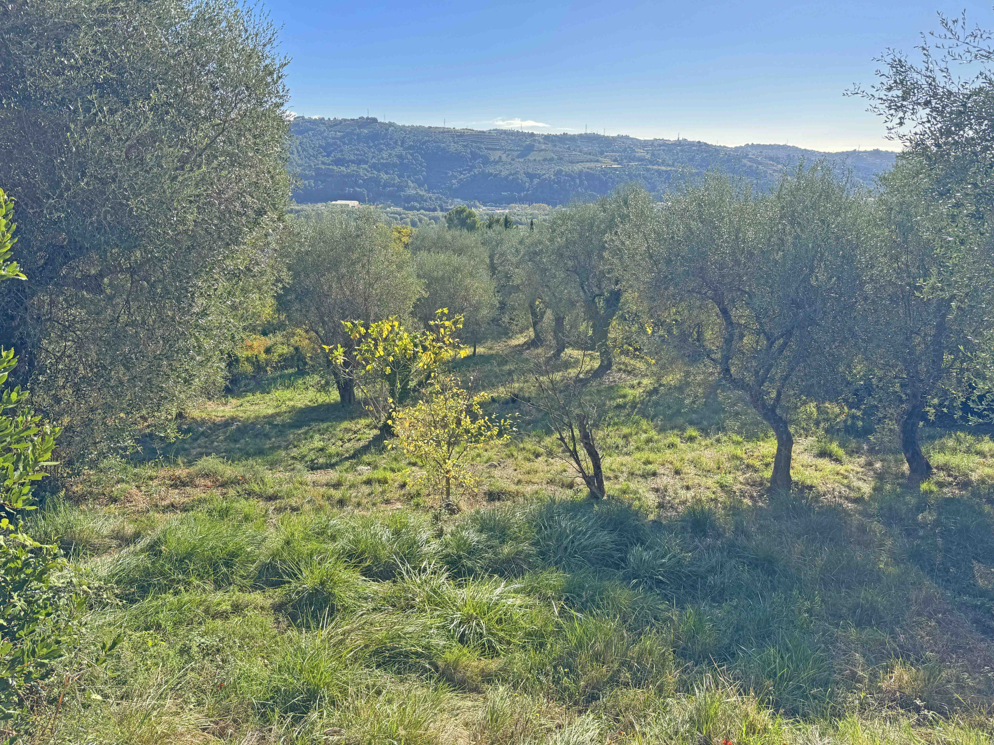 Image_, Villa, Saint-Jeannet, ref :4280