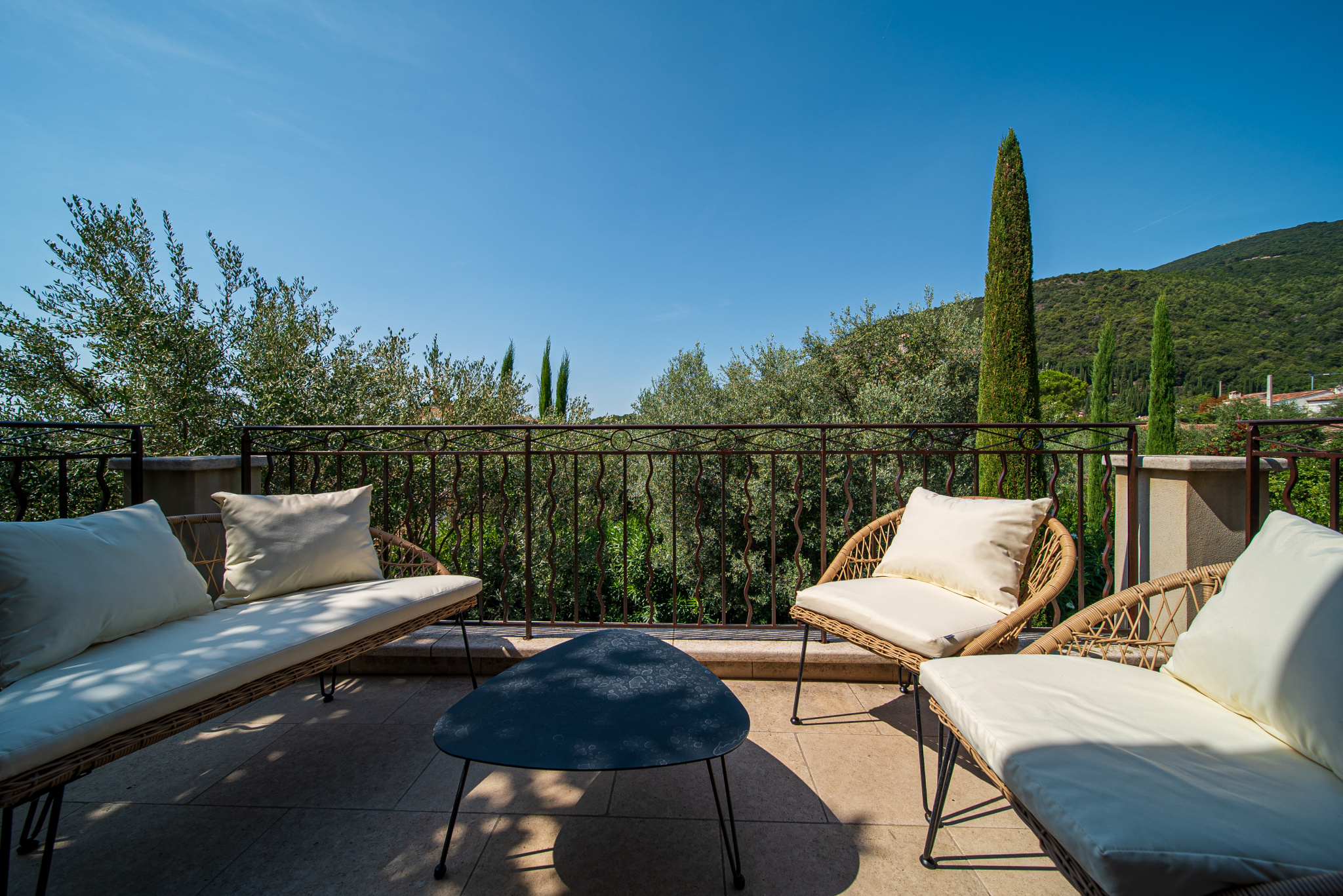 Image_, Villa, Tourrettes-sur-Loup, ref :1437