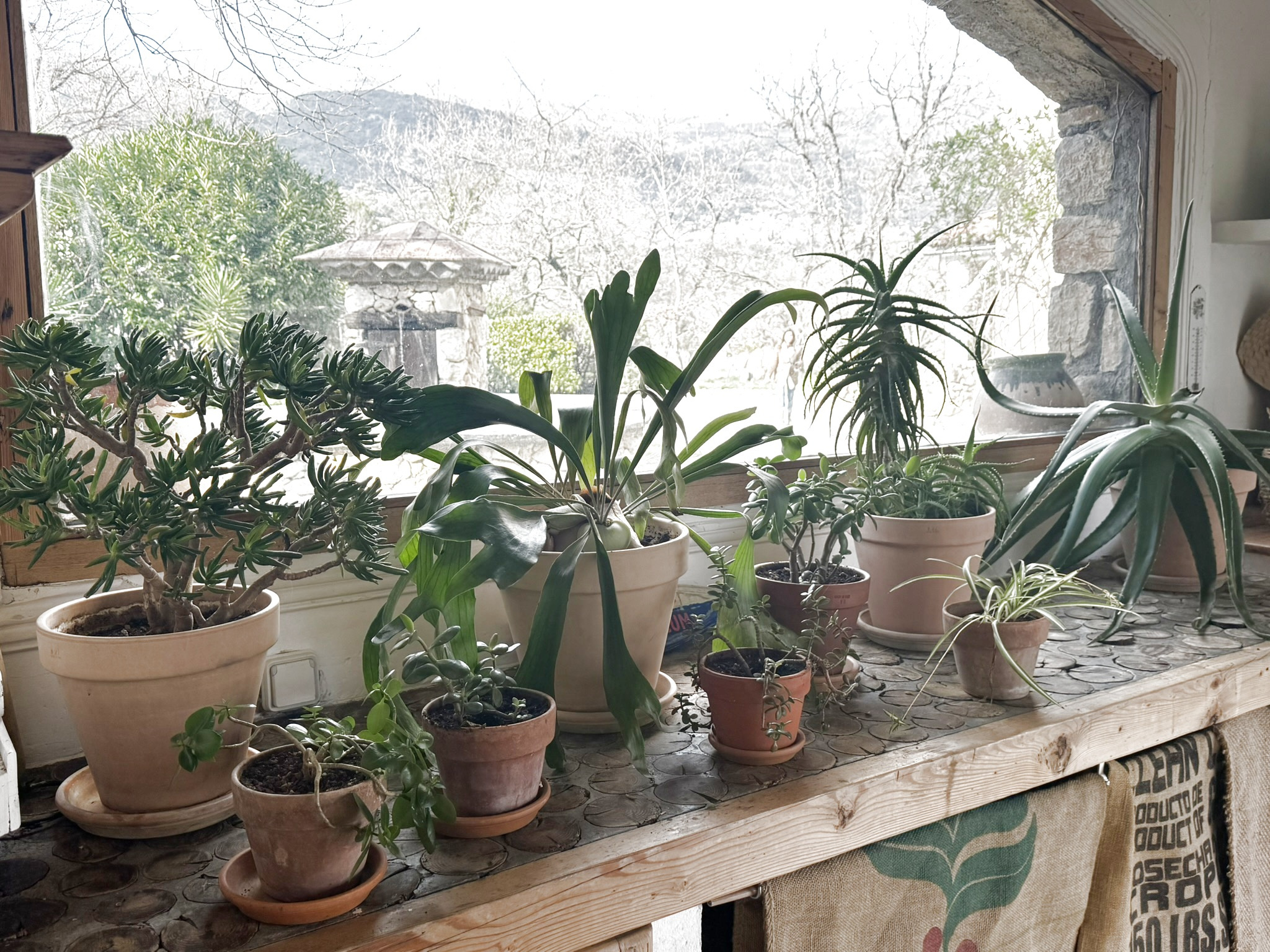 Image_, Villa, Tourrettes-sur-Loup, ref :1901