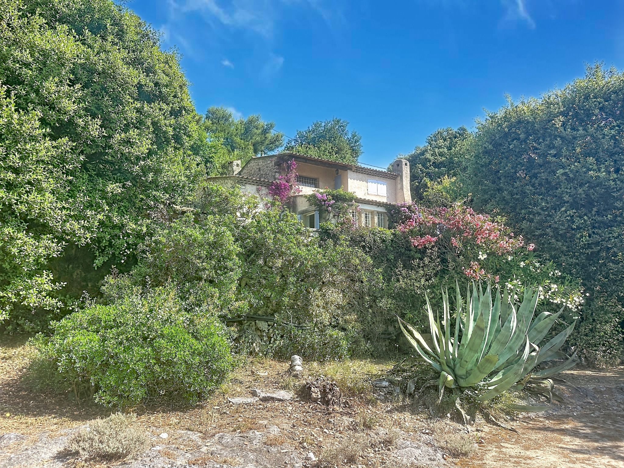 Image_, Villa, Tourrettes-sur-Loup, ref :2094