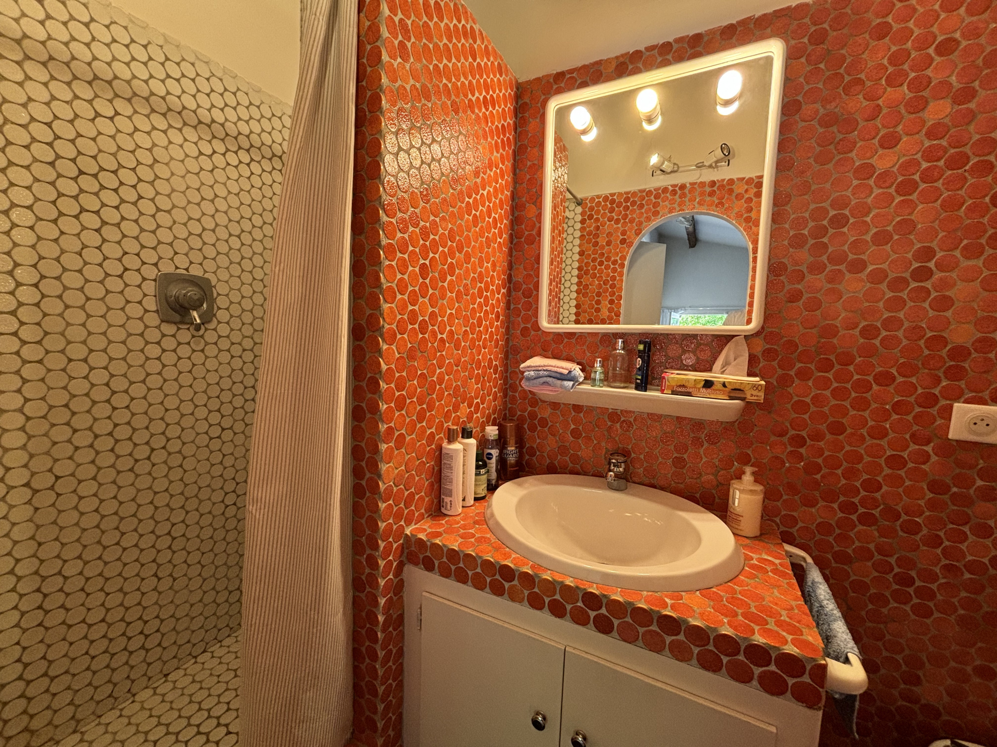 Image_, Villa, Vence, ref :1273-1