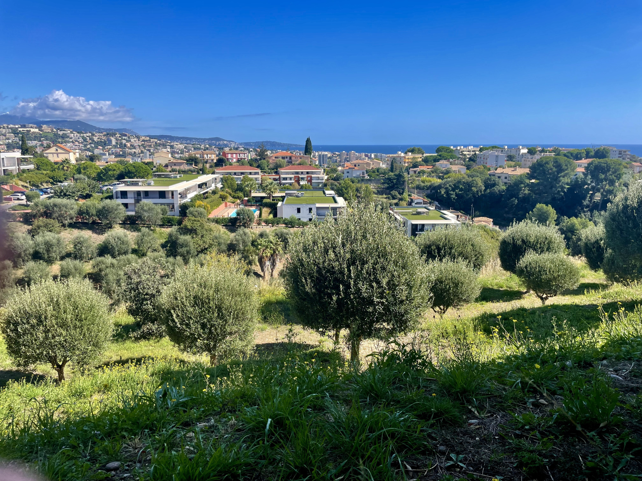 Image_, Appartement, Saint-Laurent-du-Var, ref :1367