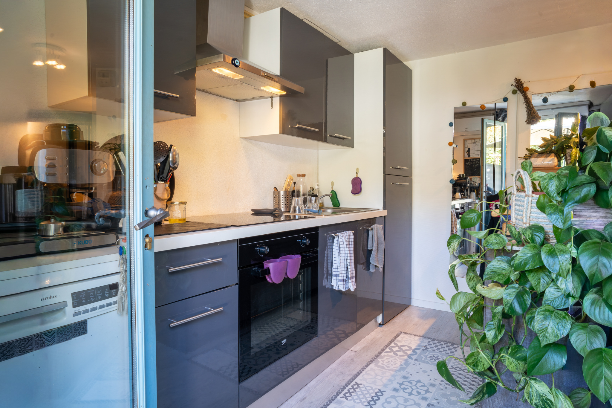 Image_, Villa, Tourrettes-sur-Loup, ref :1393