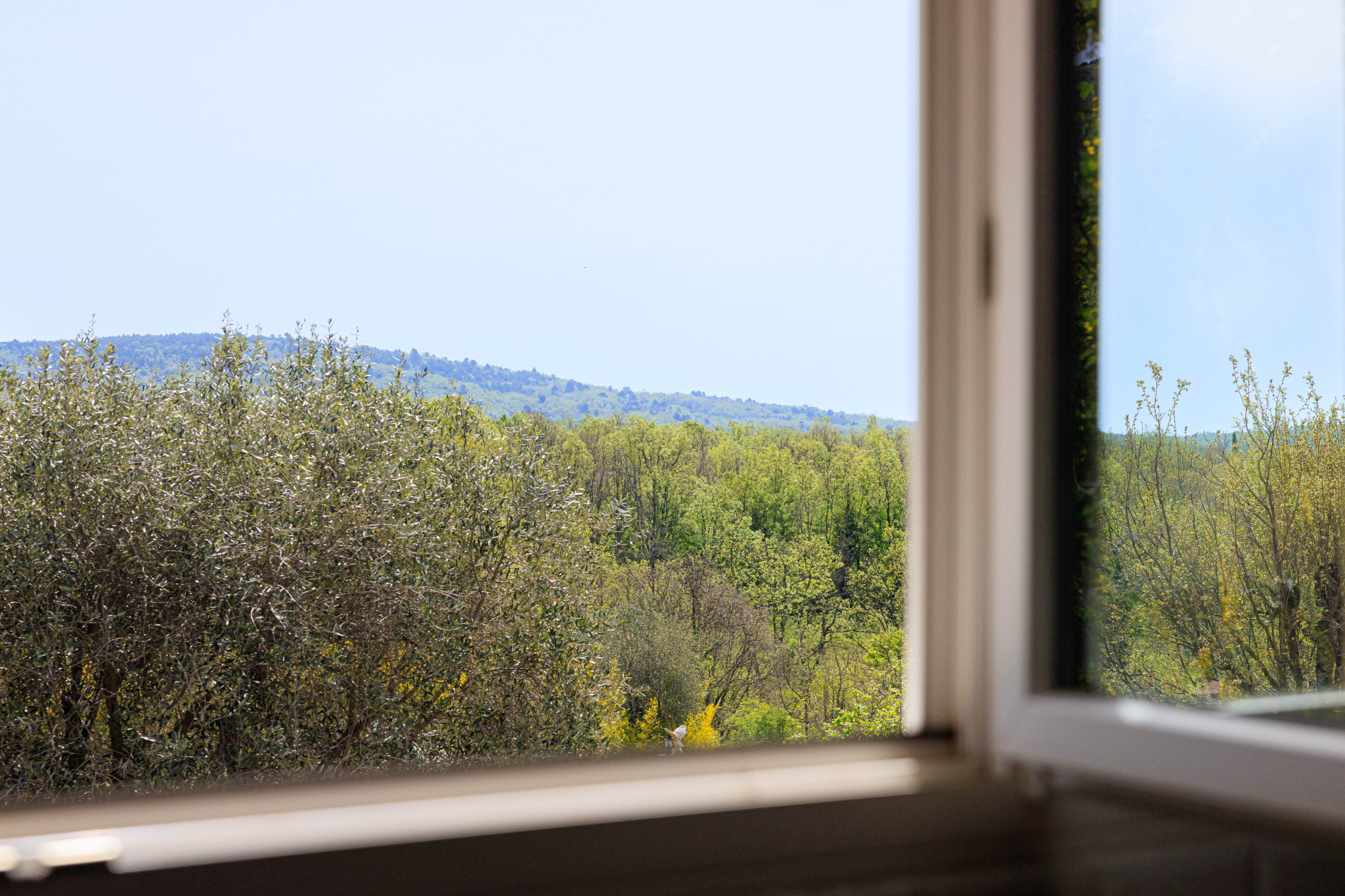 Image_, Villa, Saint-Vallier-de-Thiey, ref :1223