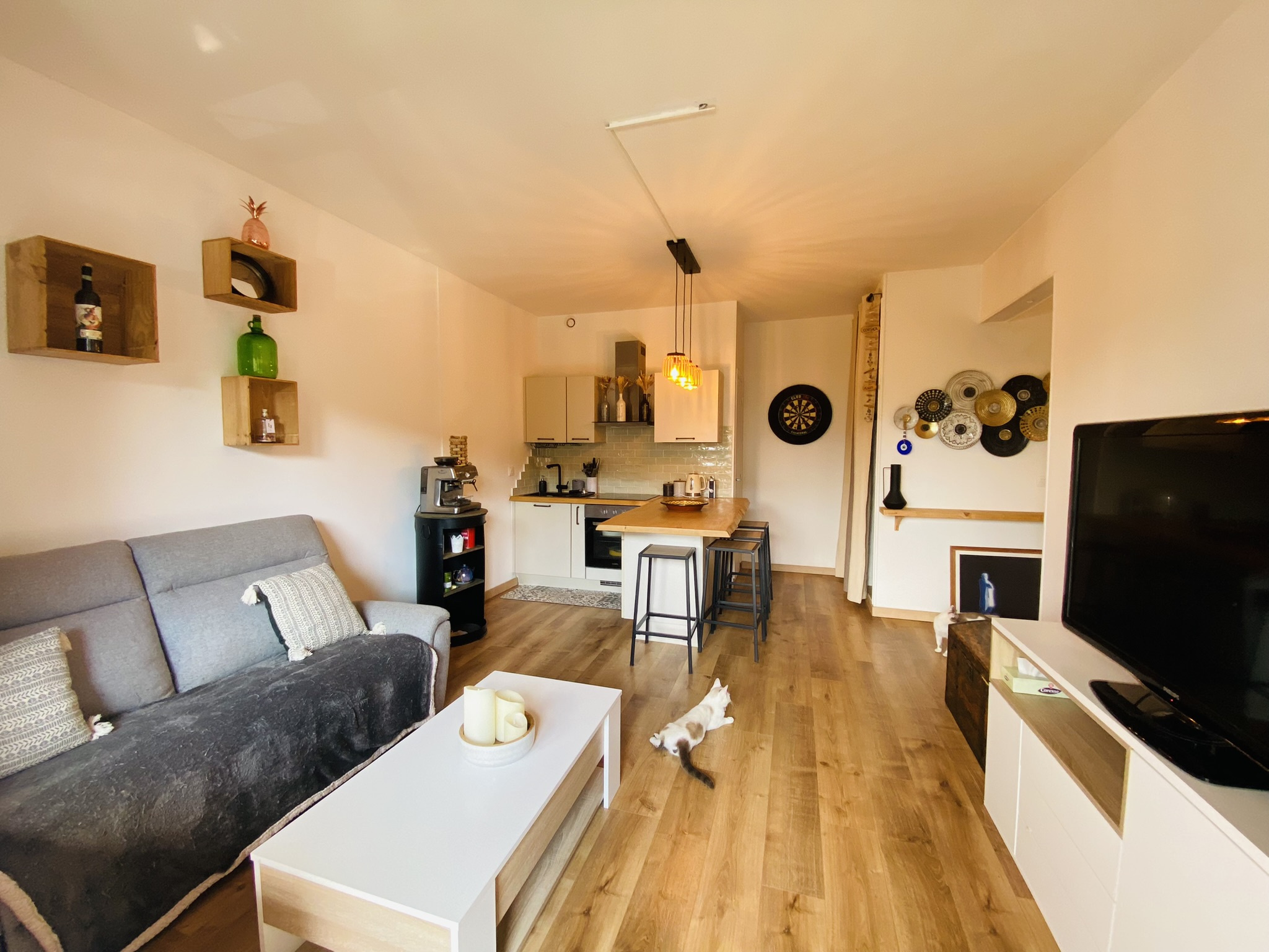 Image_, Appartement, Villeneuve-Loubet, ref :1826