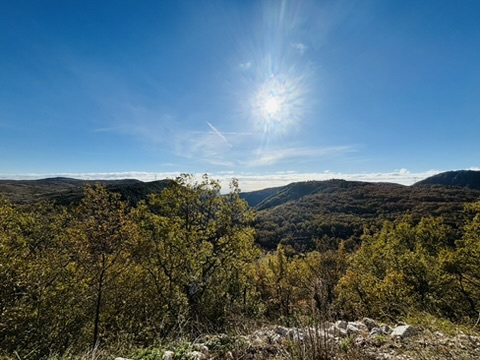 Image_, Villa, Coursegoules, ref :1374