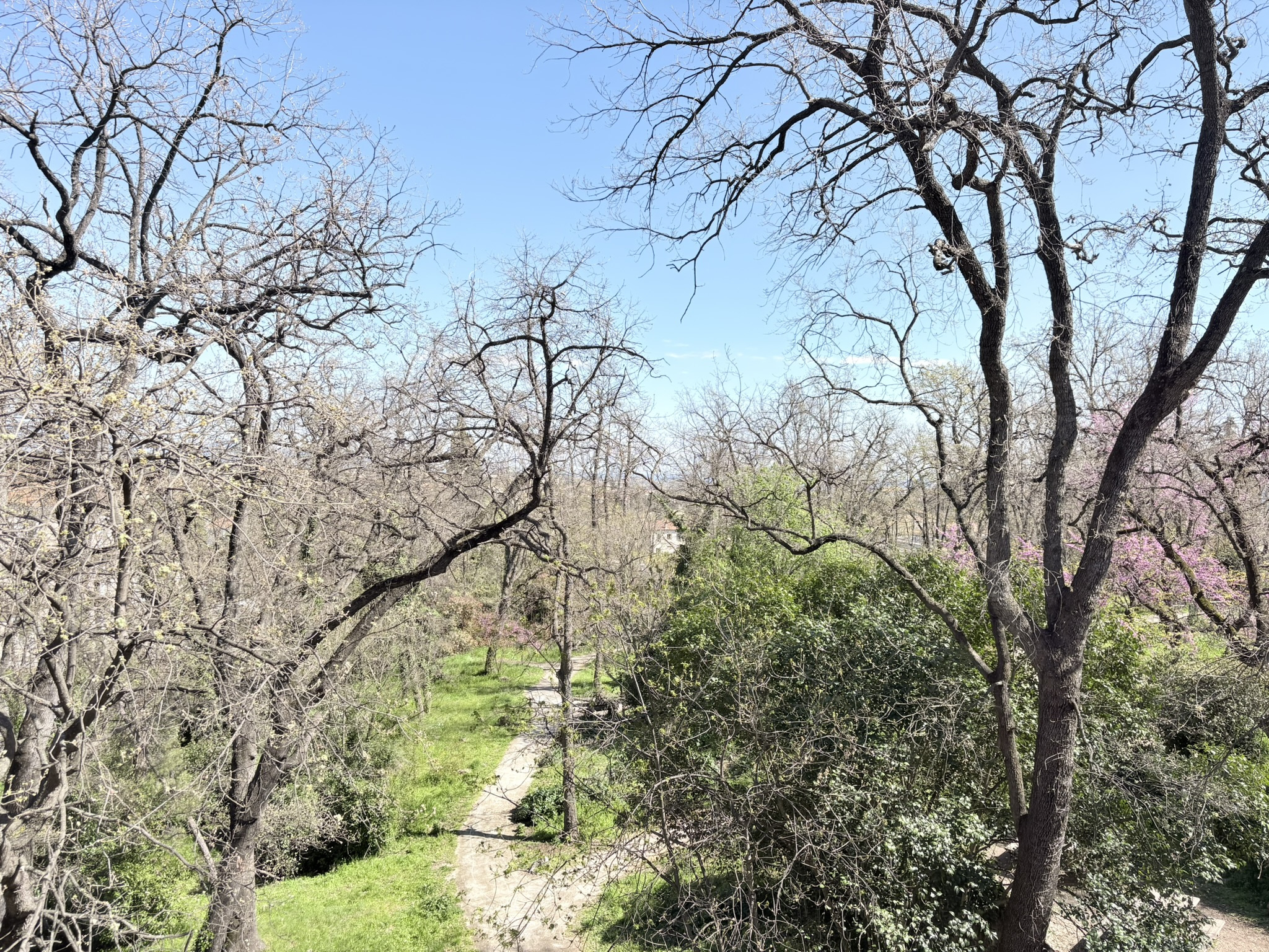 Image_, Appartement, Vence, ref :1910